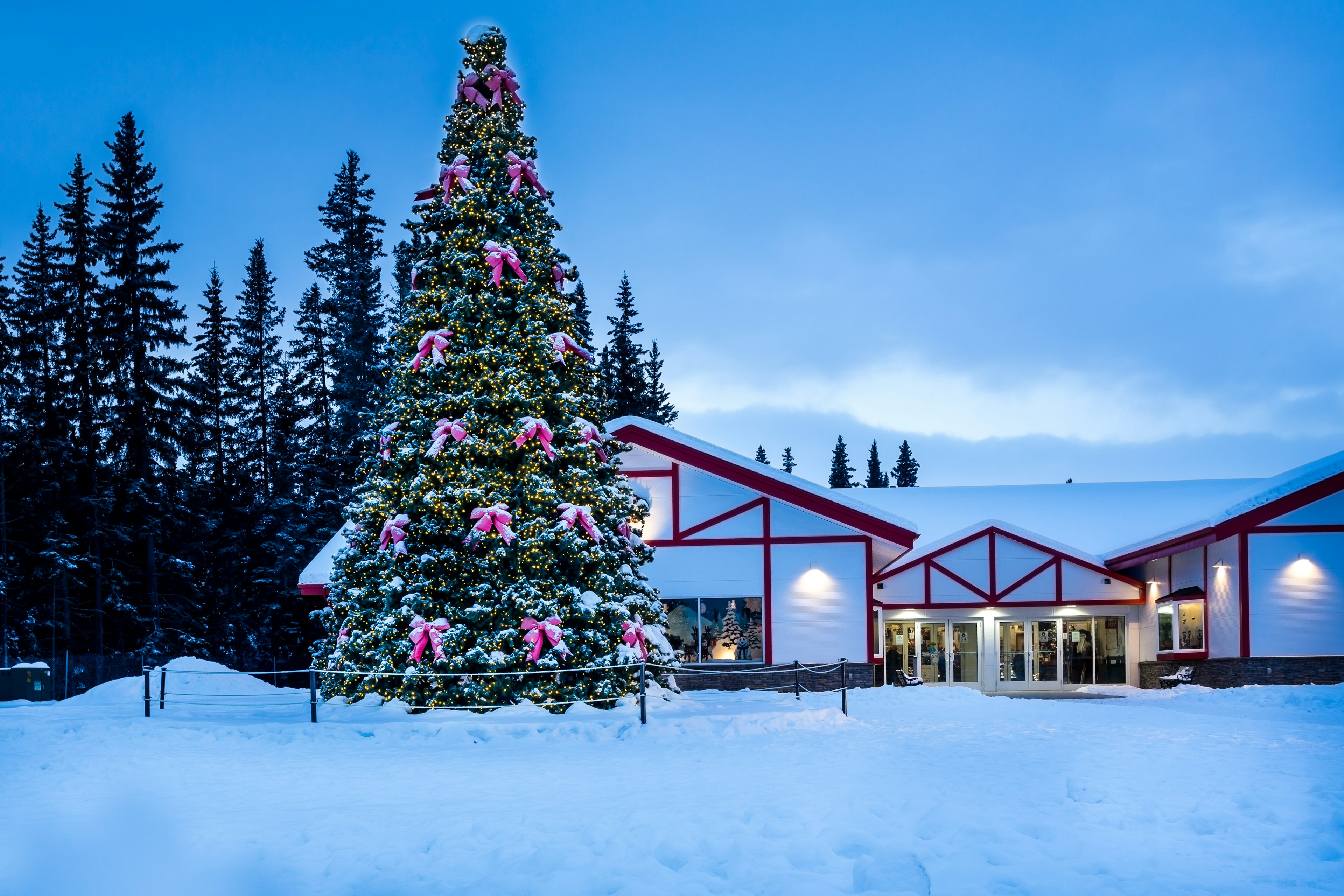 Beautiful Christmas Tree and Santa Claus House in winter holiday season in North Pole, Alaska.