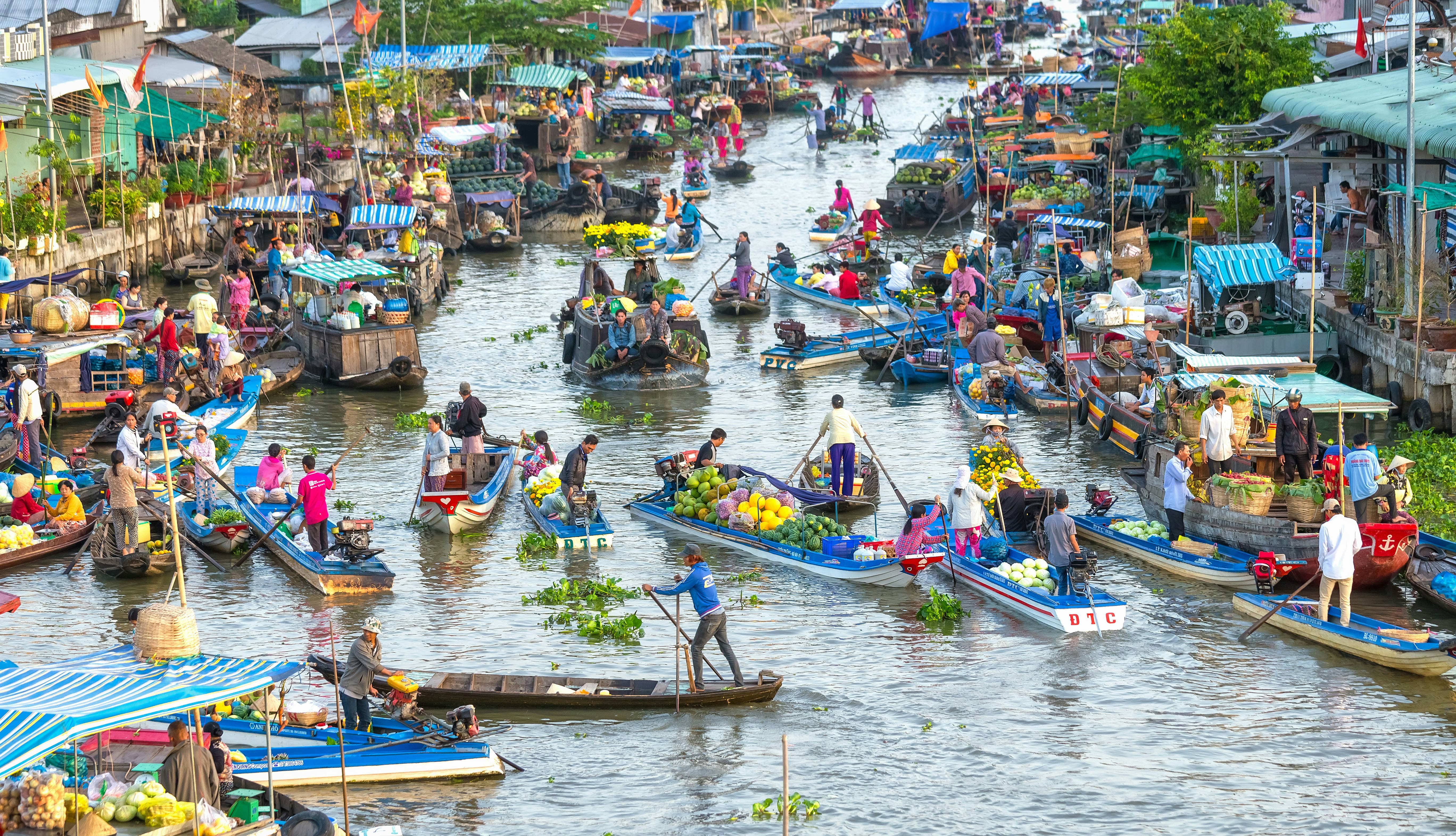 Vendors in boats trade on a crowded river; boats are piled with fruit, flowers and agricultural products, while barges are moored at the riverbanks