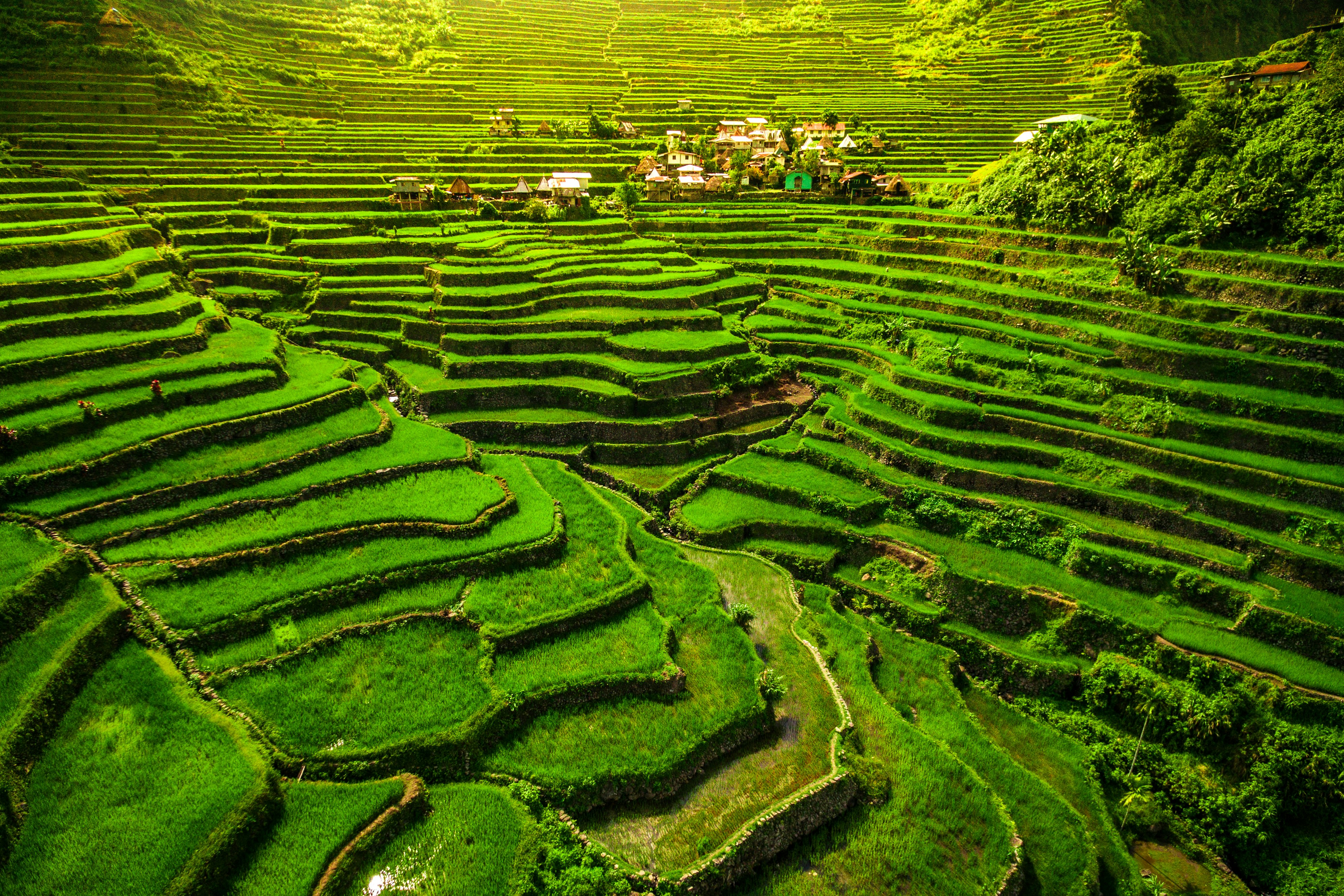 A settlement sits high up a series of lush rice terraces, dramatically lit by the sun