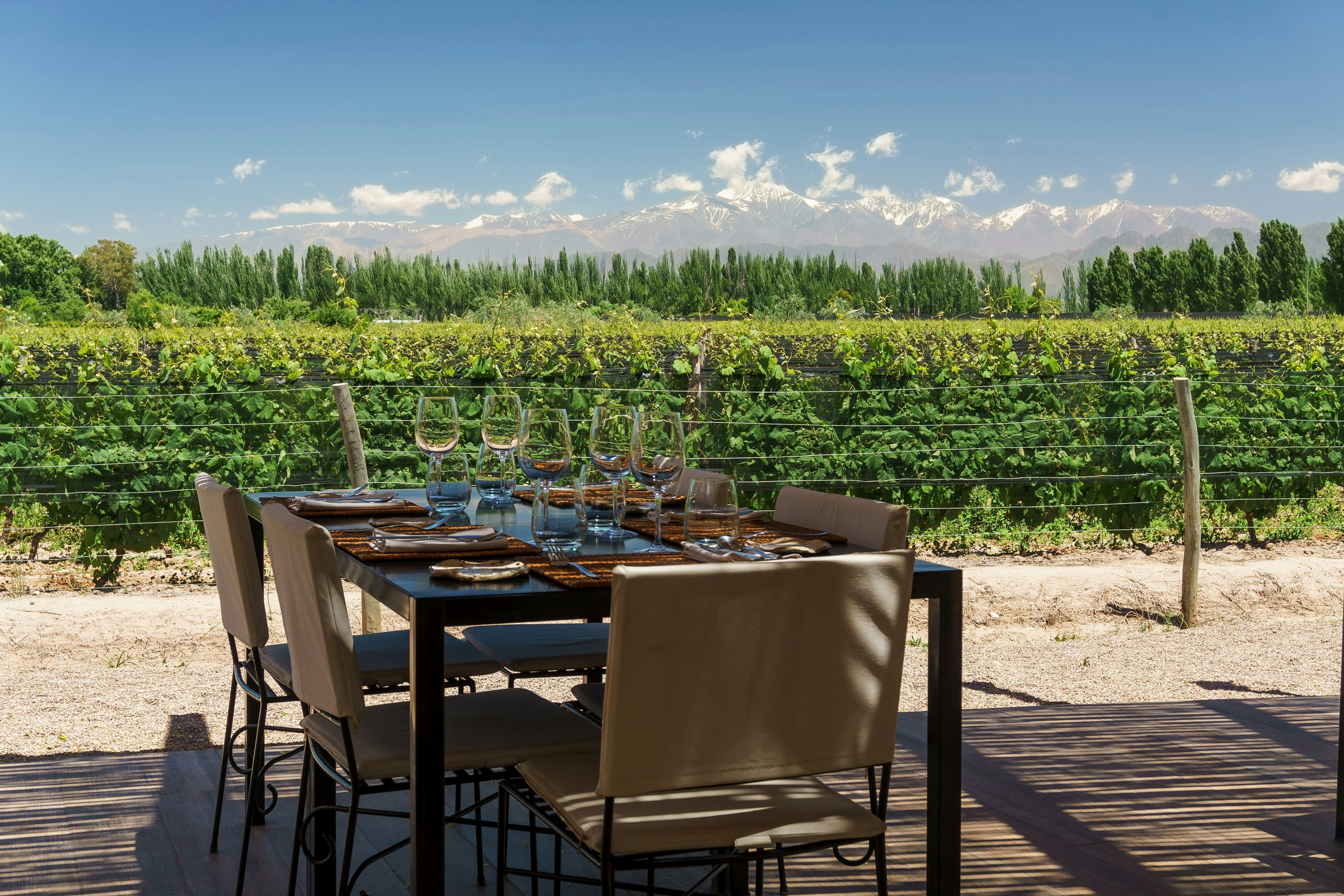 A table set with dishes and wine glasses sits in front of a vineyard with mountains in the background.