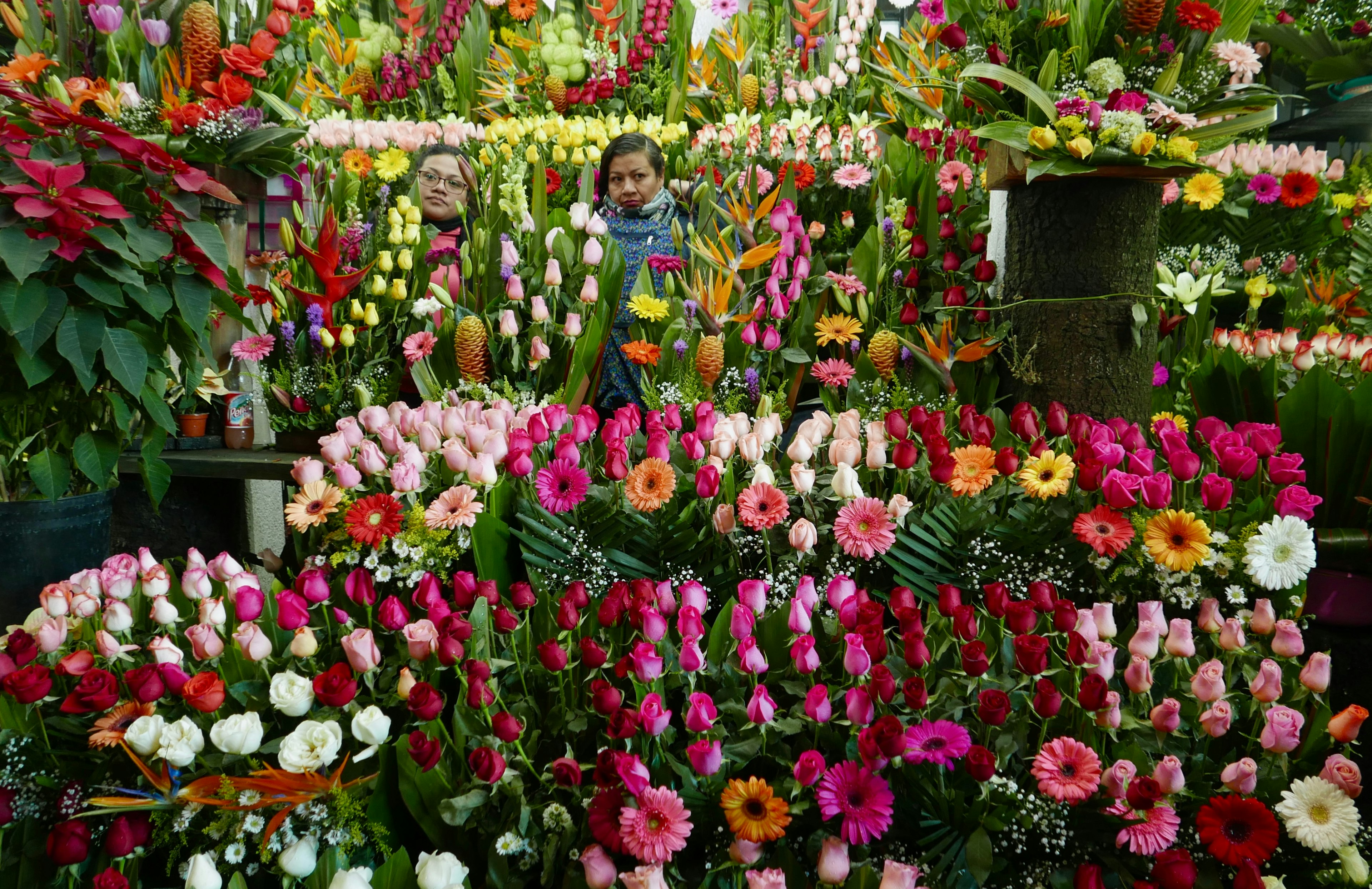 Two women are surrounded by abundant displays of roses, Gerber daisies and other cut flowers for sale at a market stall