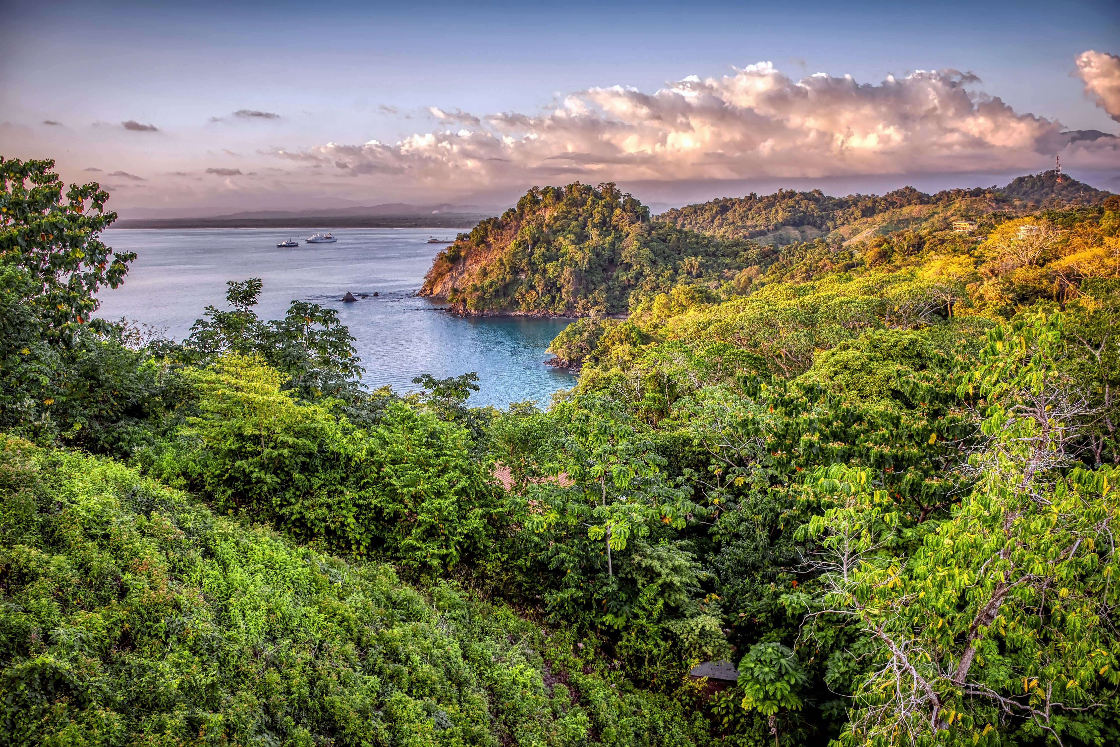 Early evening clouds gather over the sea near a coastline covered in dense foliage