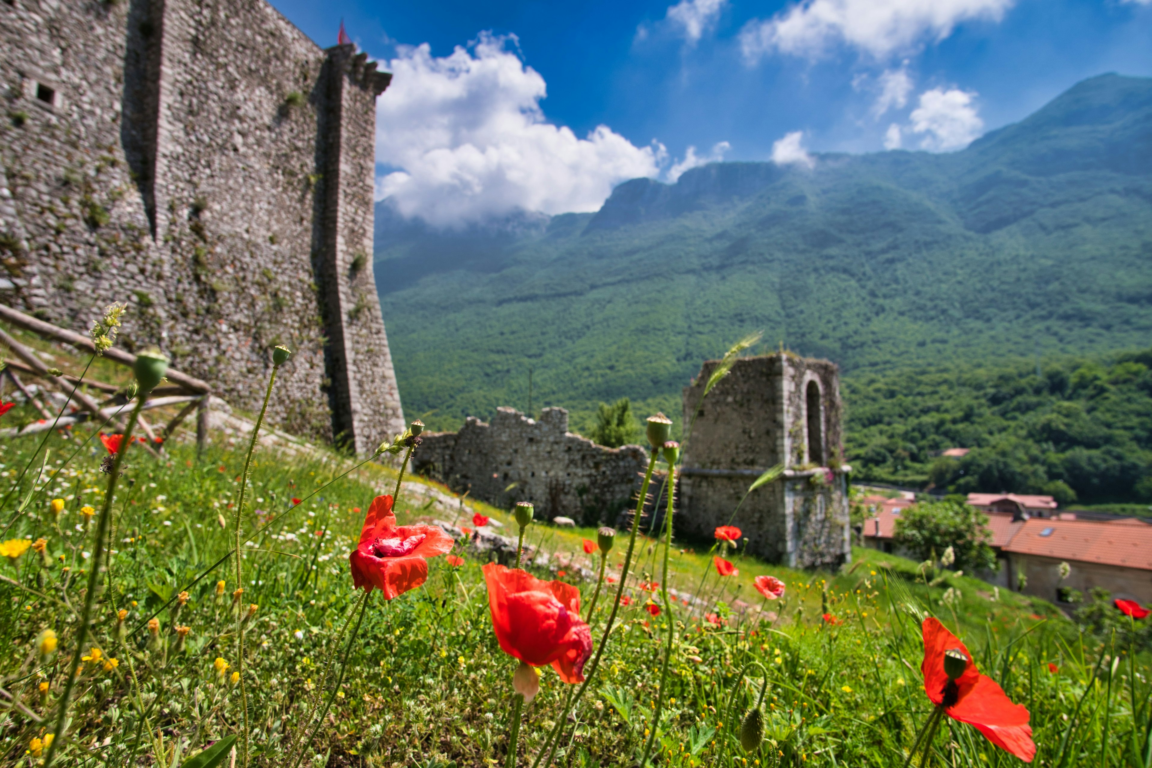 A wildflower meadow with poppies and yellow flowers on the slopes of a ruined castle