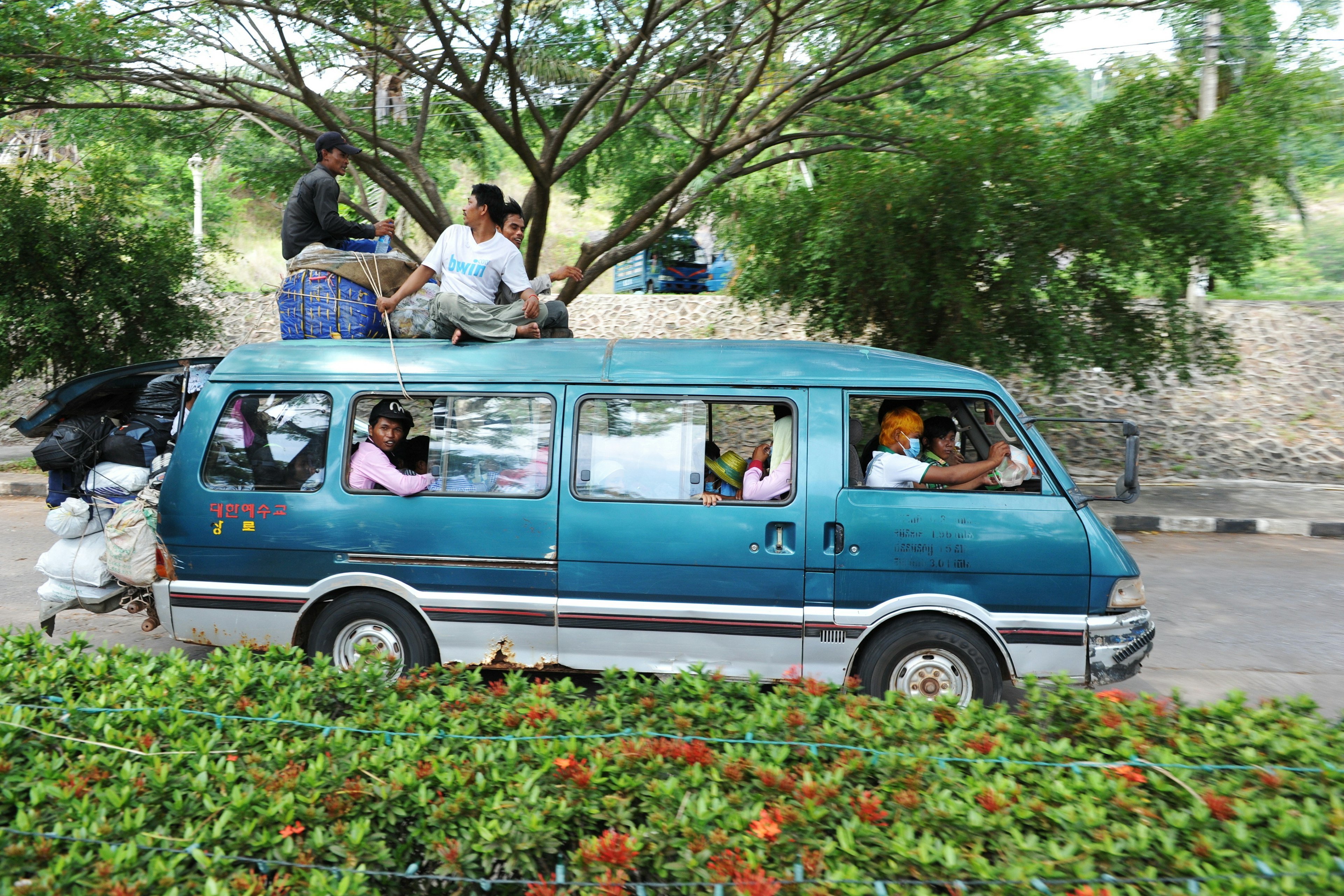 A teal-green van carries passengers, who lean out of windows and through the sunroof on a road with green bushes on one side and a tree on the other