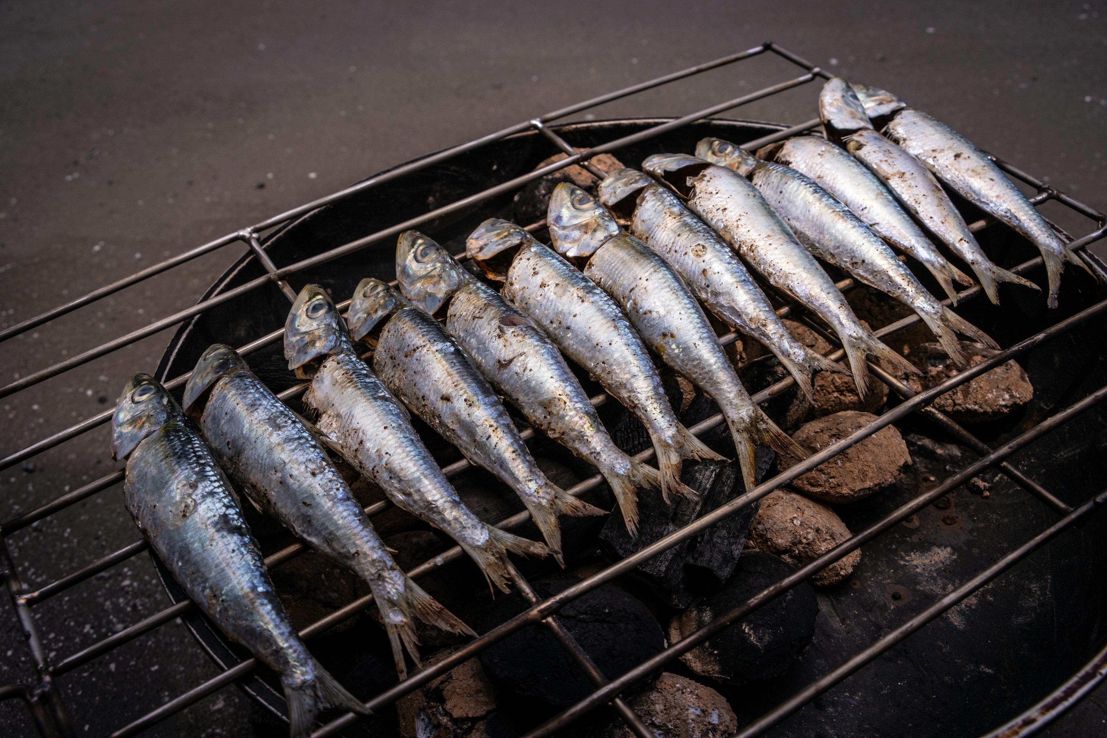 Silvery sardines are being cooked over hot coals on a grill