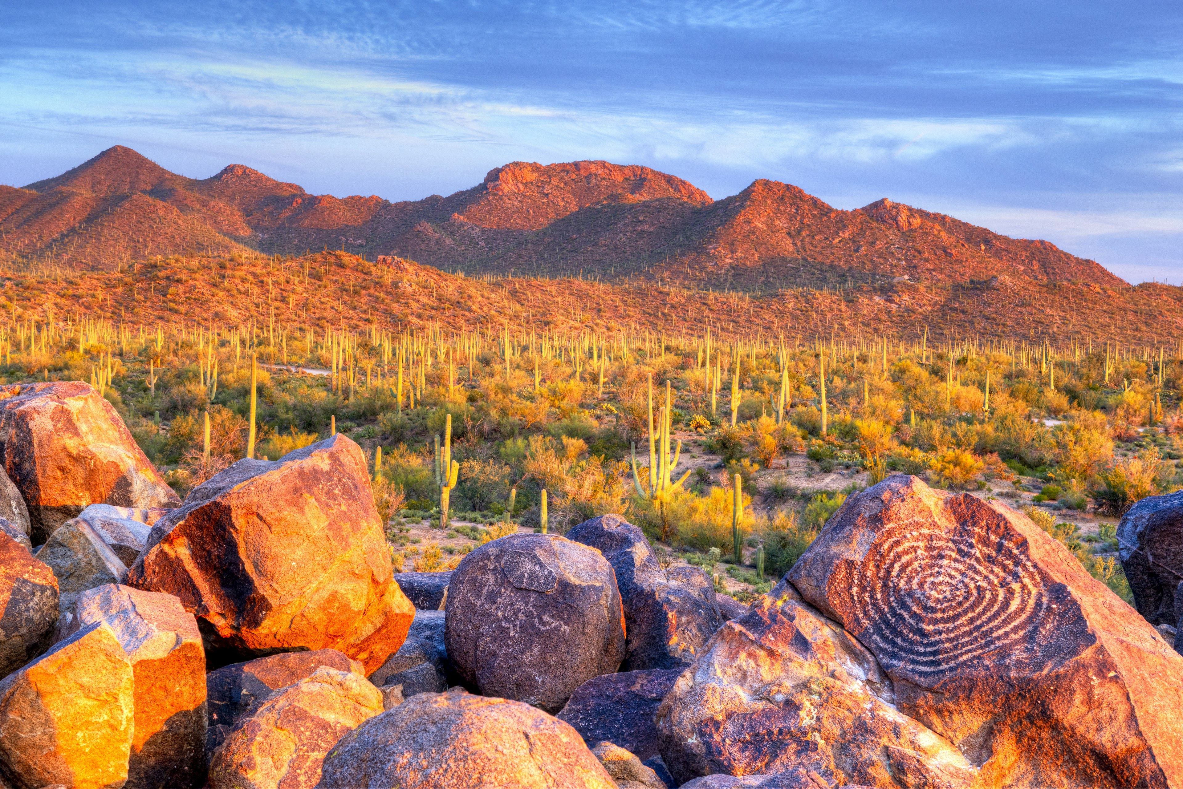 A series of rocks with swirls, carvings and other patterns on them stand in front of a field of cacti.