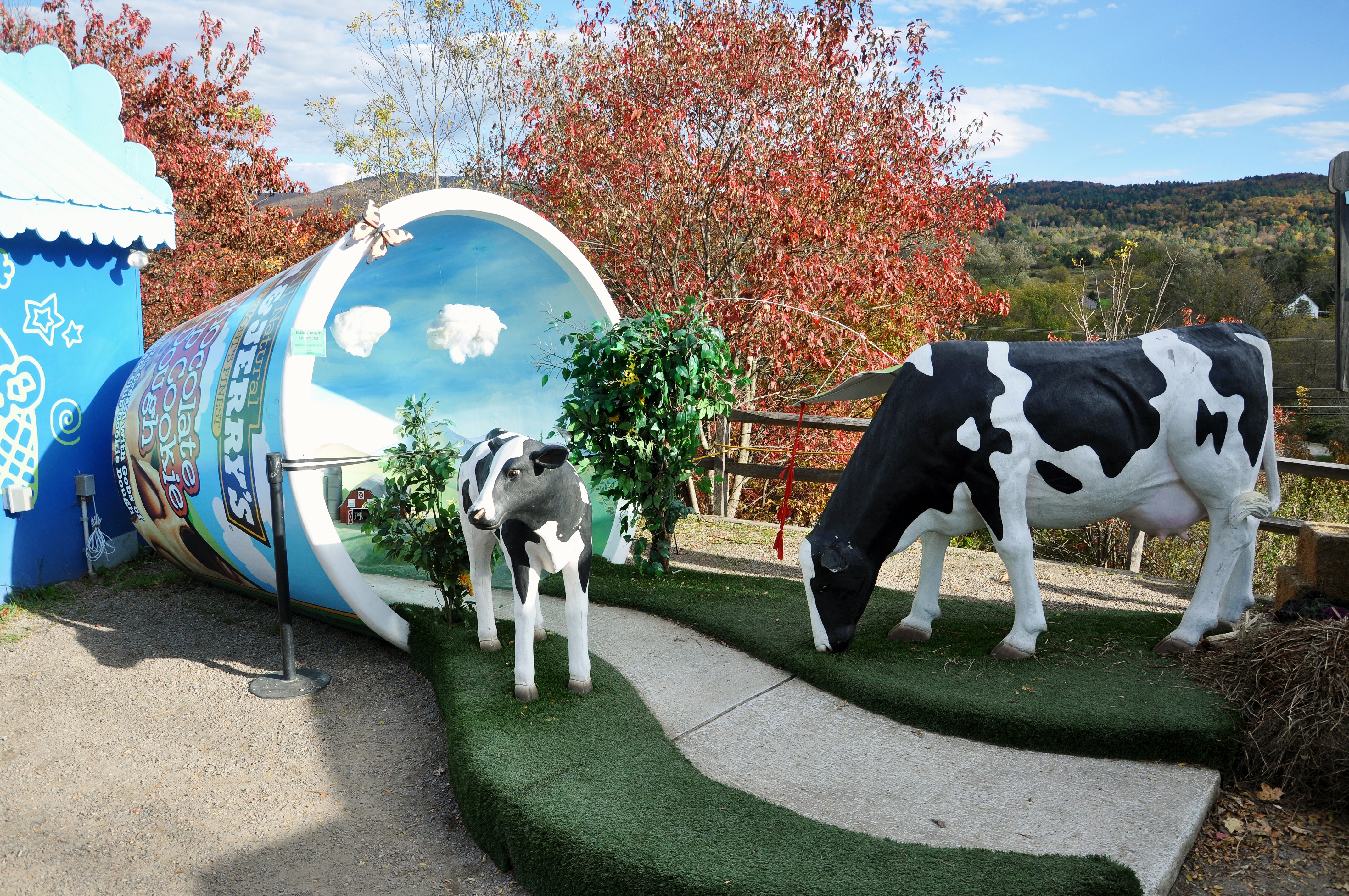 A display with fiberglass cows standing next to a giant ice cream container, with trees and hills visible in the distance, at the Ben & Jerry’s Factory in Waterbury, Vermont, New England, USA