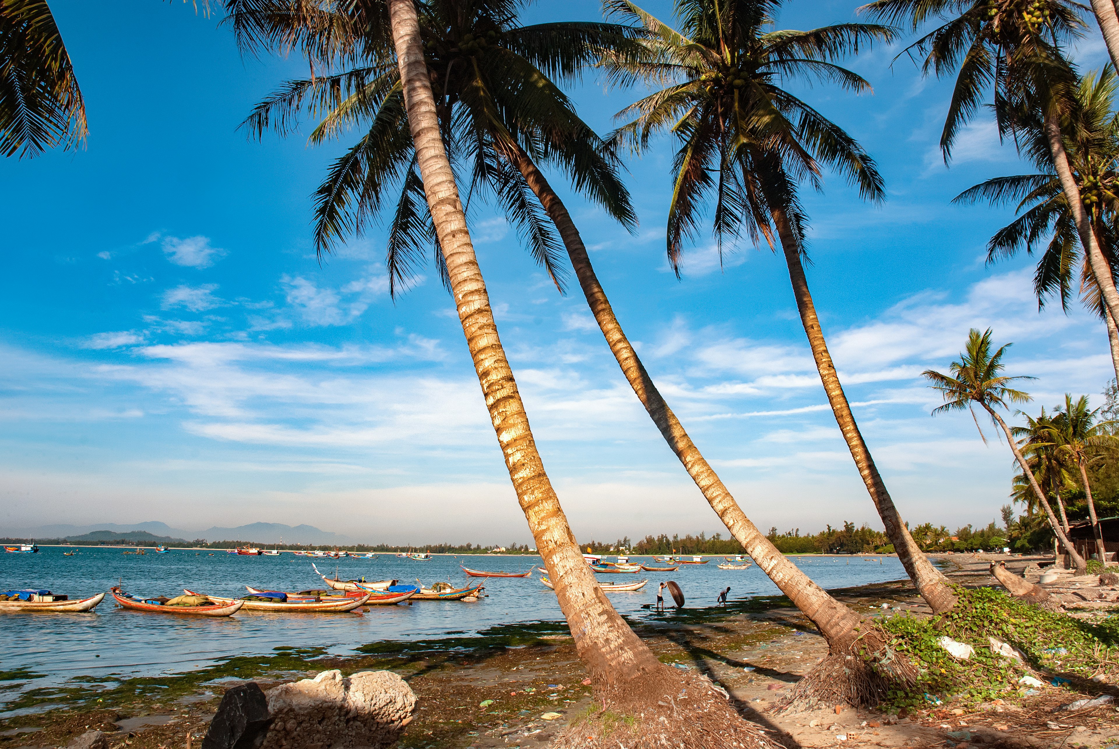 Palm trees lean out over the shore with fishing seen in the water at My Khe Beach, Quang Ngai Province, Vietnam