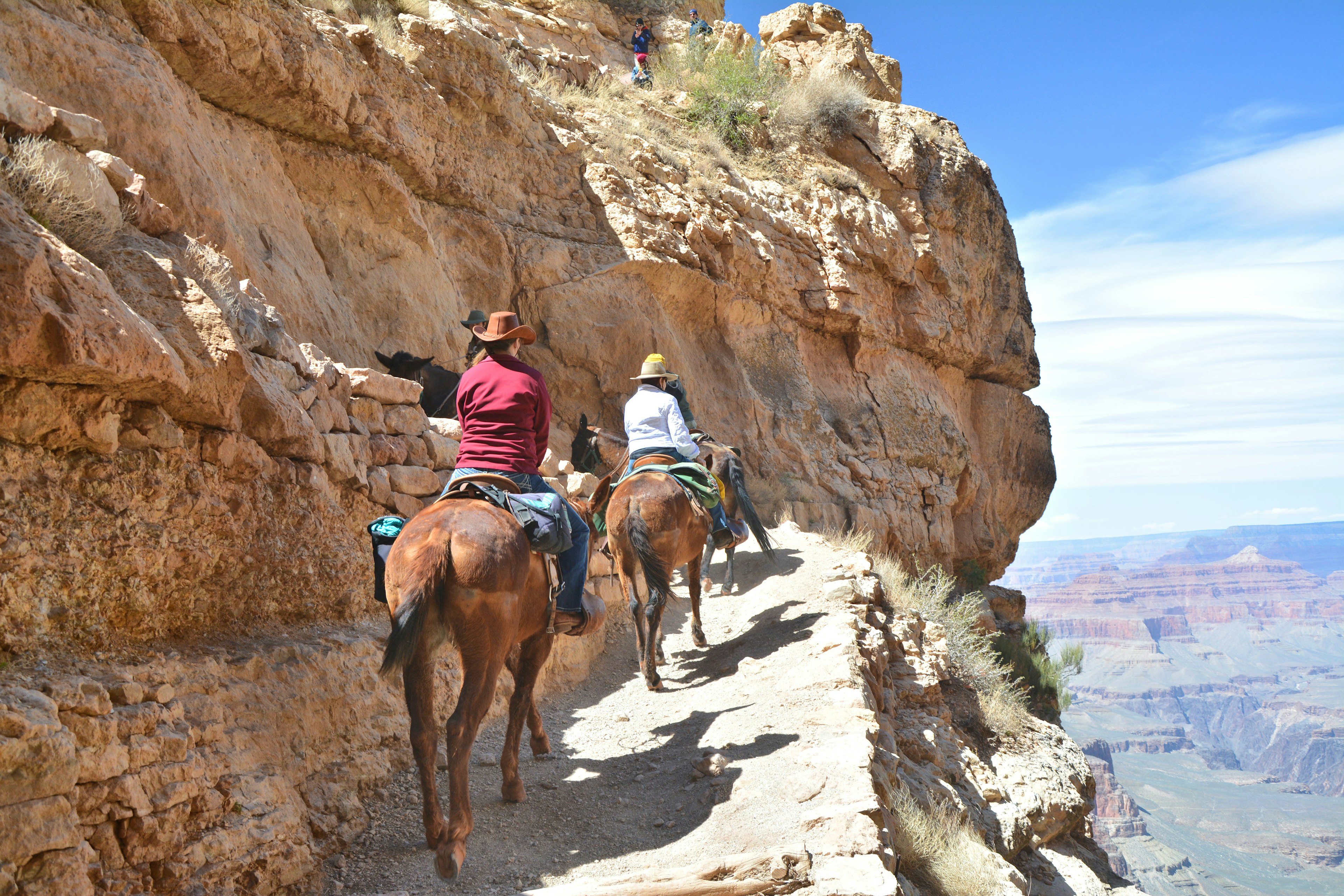 Four people riding mules on a steep path in the Grand Canyon.