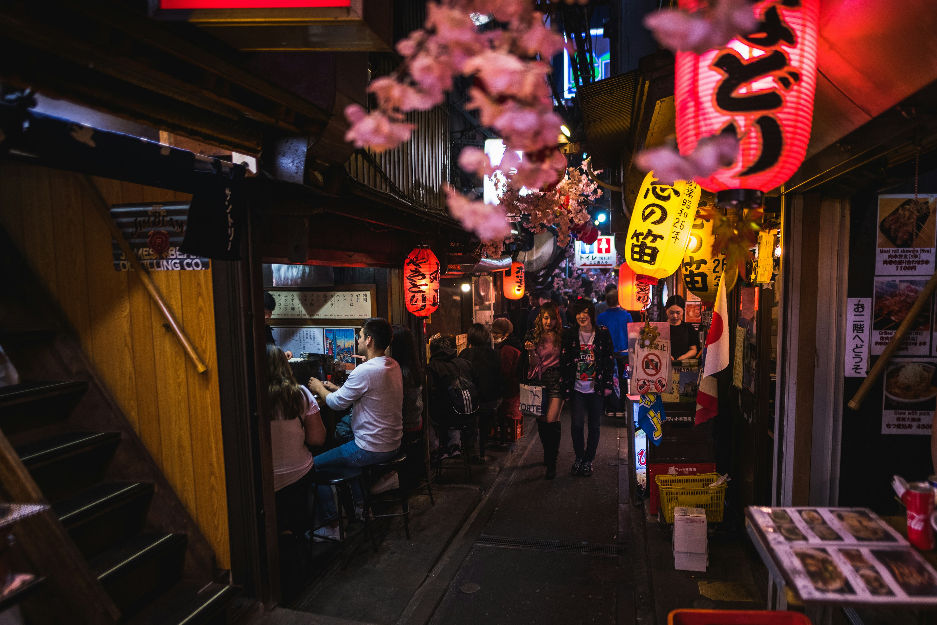 Japanese street food at the landmark alleyway, Omoide Yokocho.