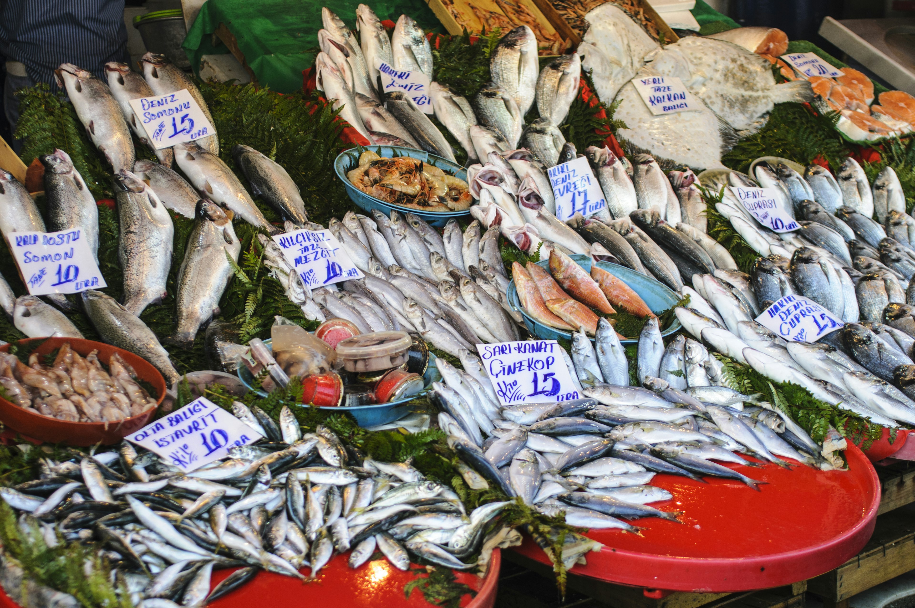 A fish market on the waterfront at Galata, Istanbul.