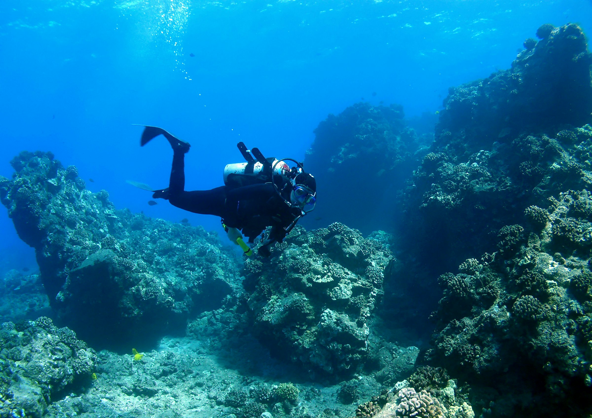 Diver swimming through a reef at the Molokini Crater in Maui, Hawaii.