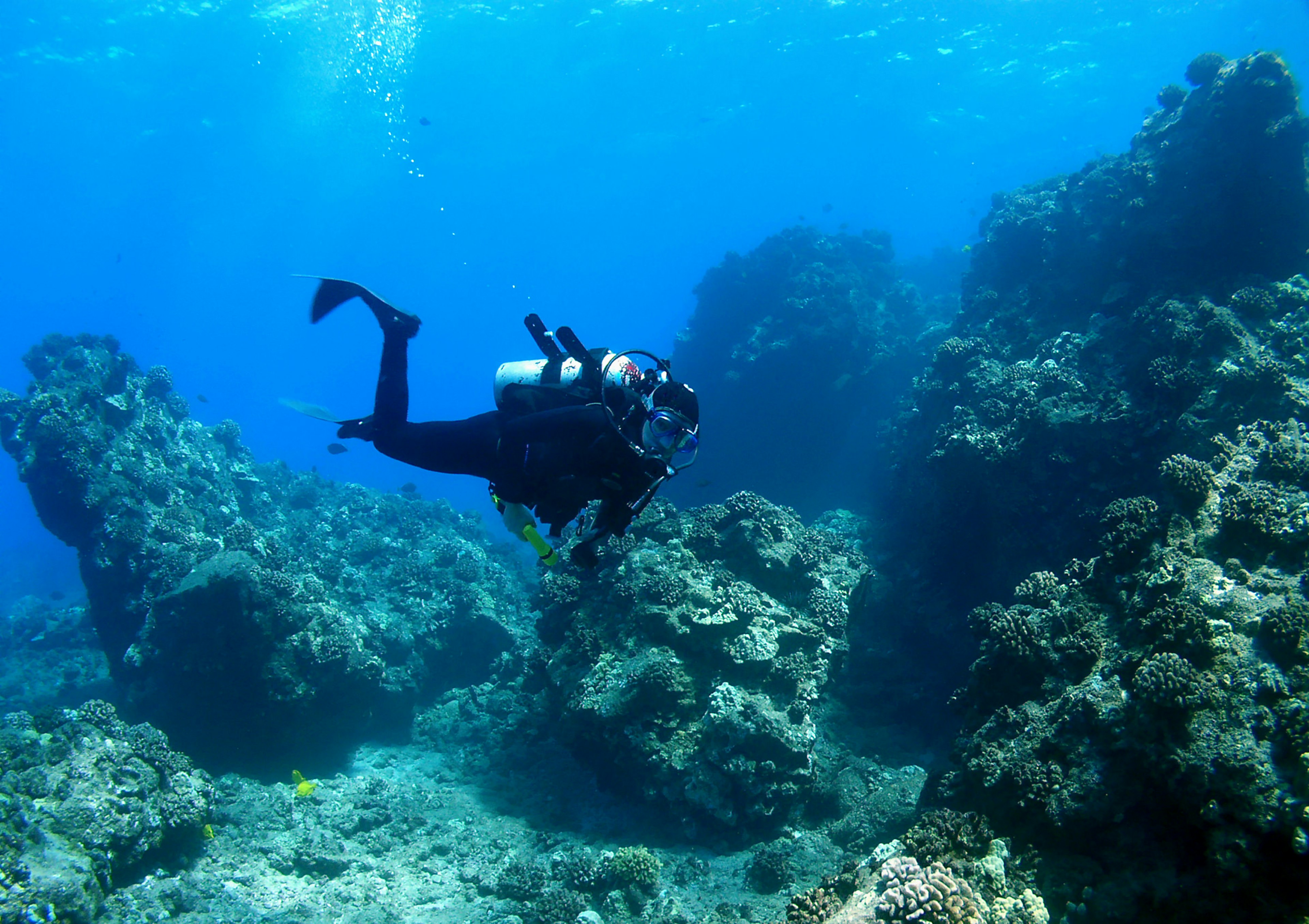 Diver swimming through a reef at the Molokini Crater in Maui, Hawaii.