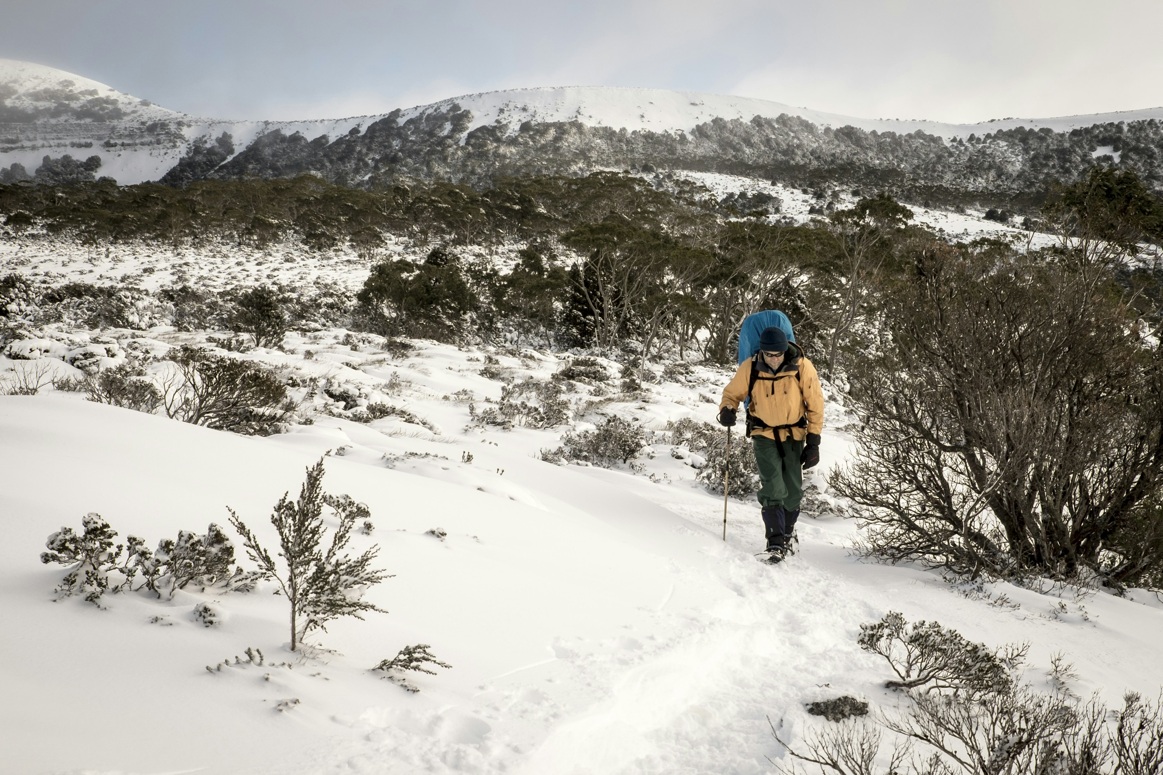 A solo hiker with a backpack and warm clothes treks through snow in a national park