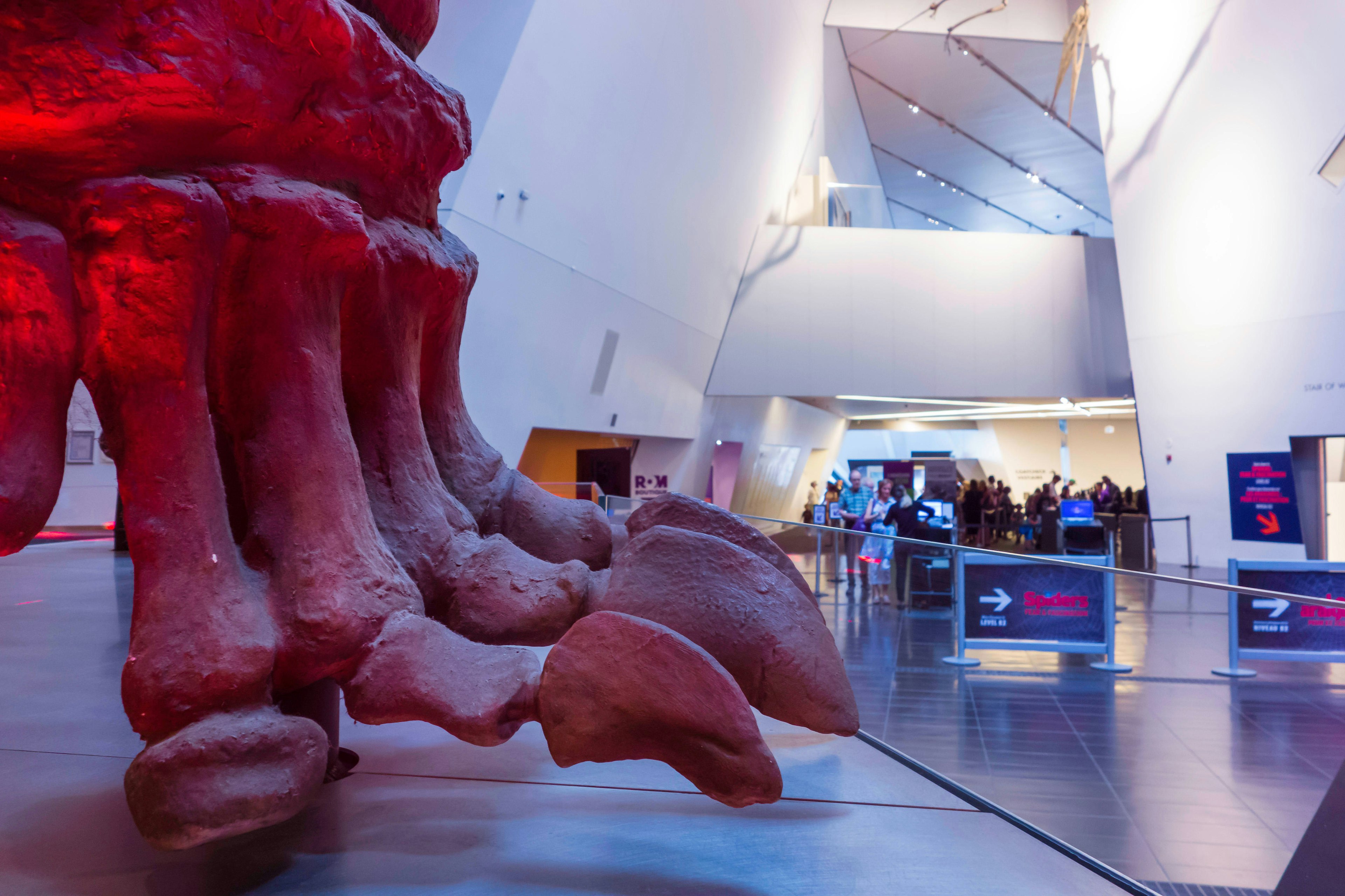 Massive foot of a dinosaur near the entrance to a museum