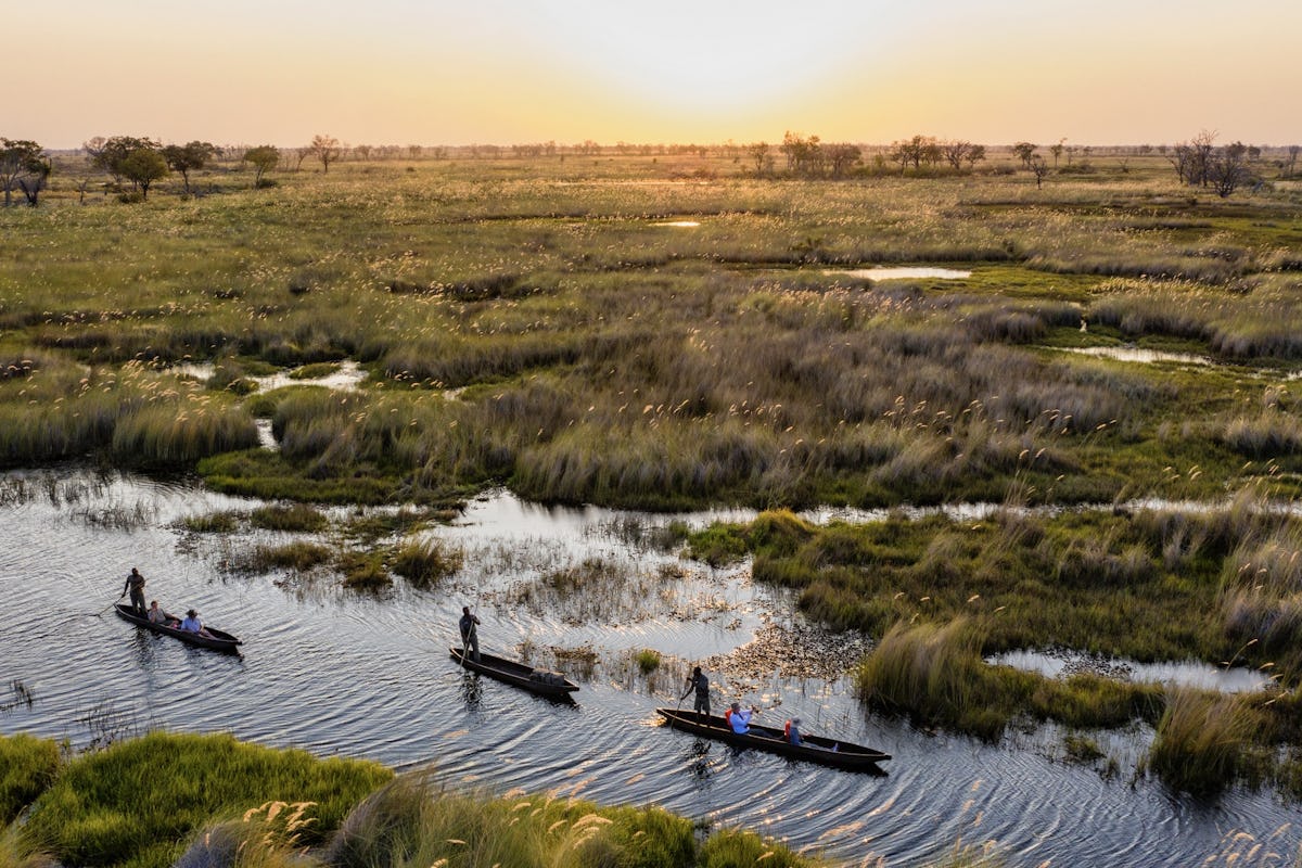 Okavango Delta Tours from the UK: Discover Botswana’s Iconic Wetlands - Enhancing Your Botswana Adventure