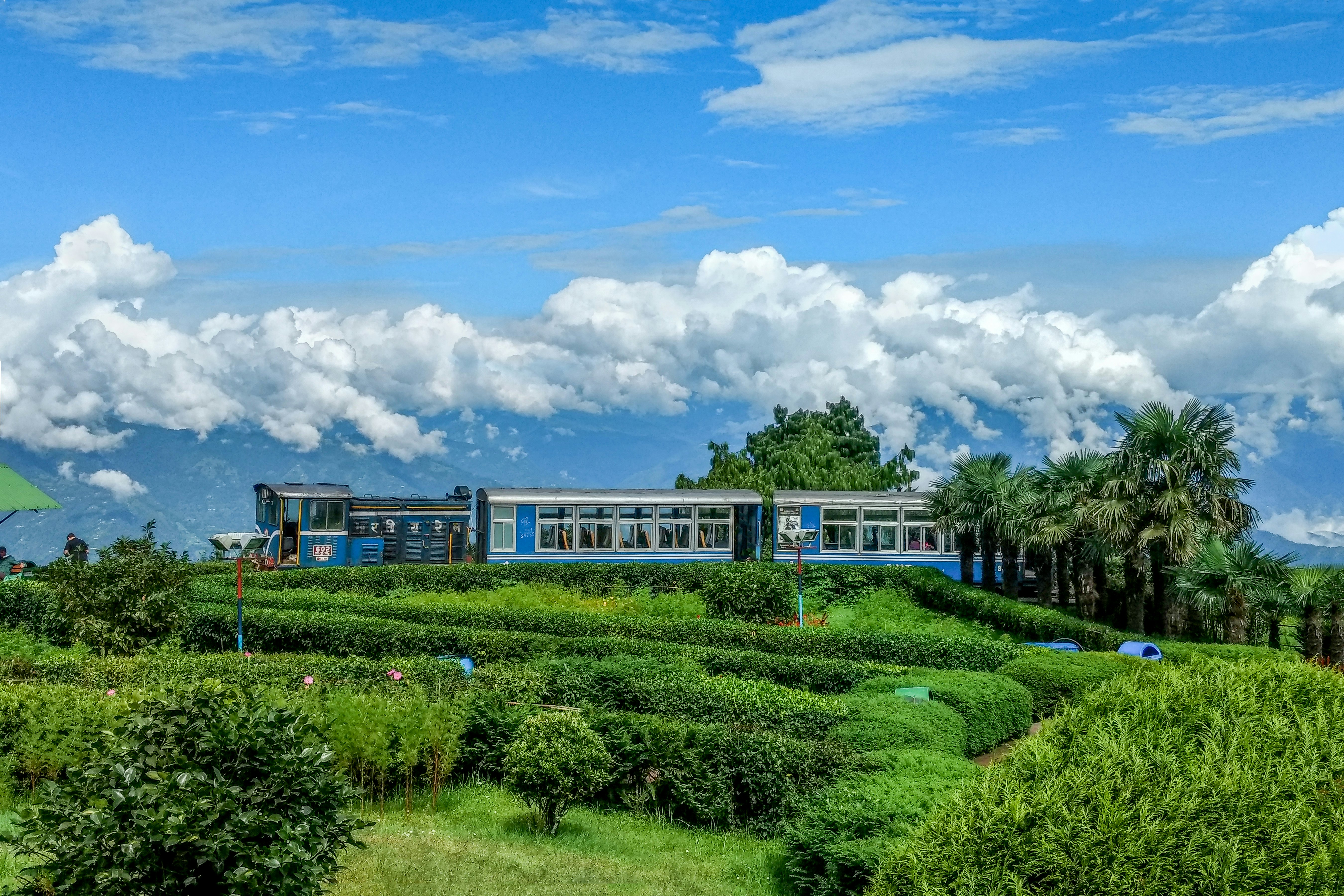 A small blue train surrounded by green bushes with mountains in the distance