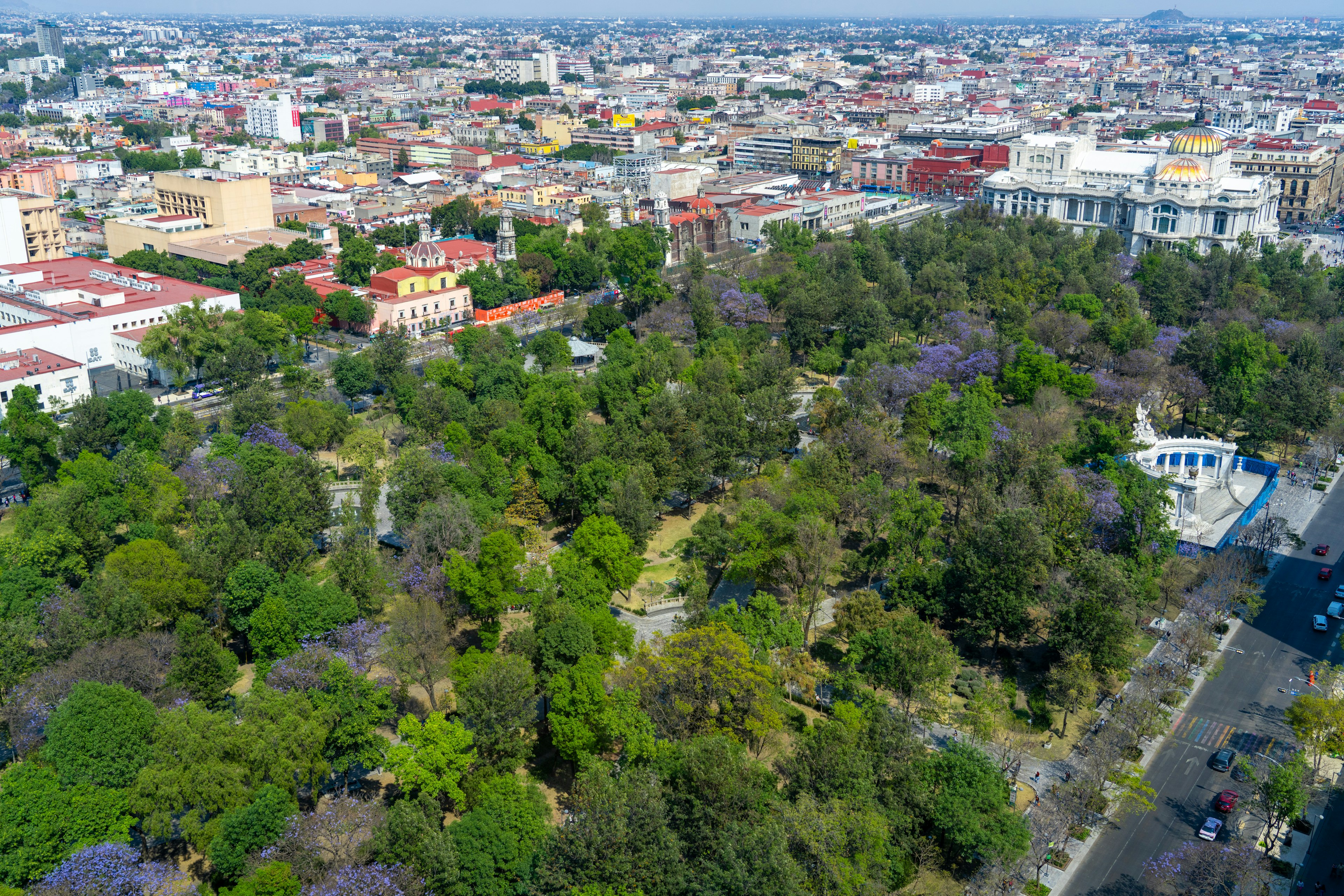 A city park in an old neighborhood full of trees with flowers in bloom