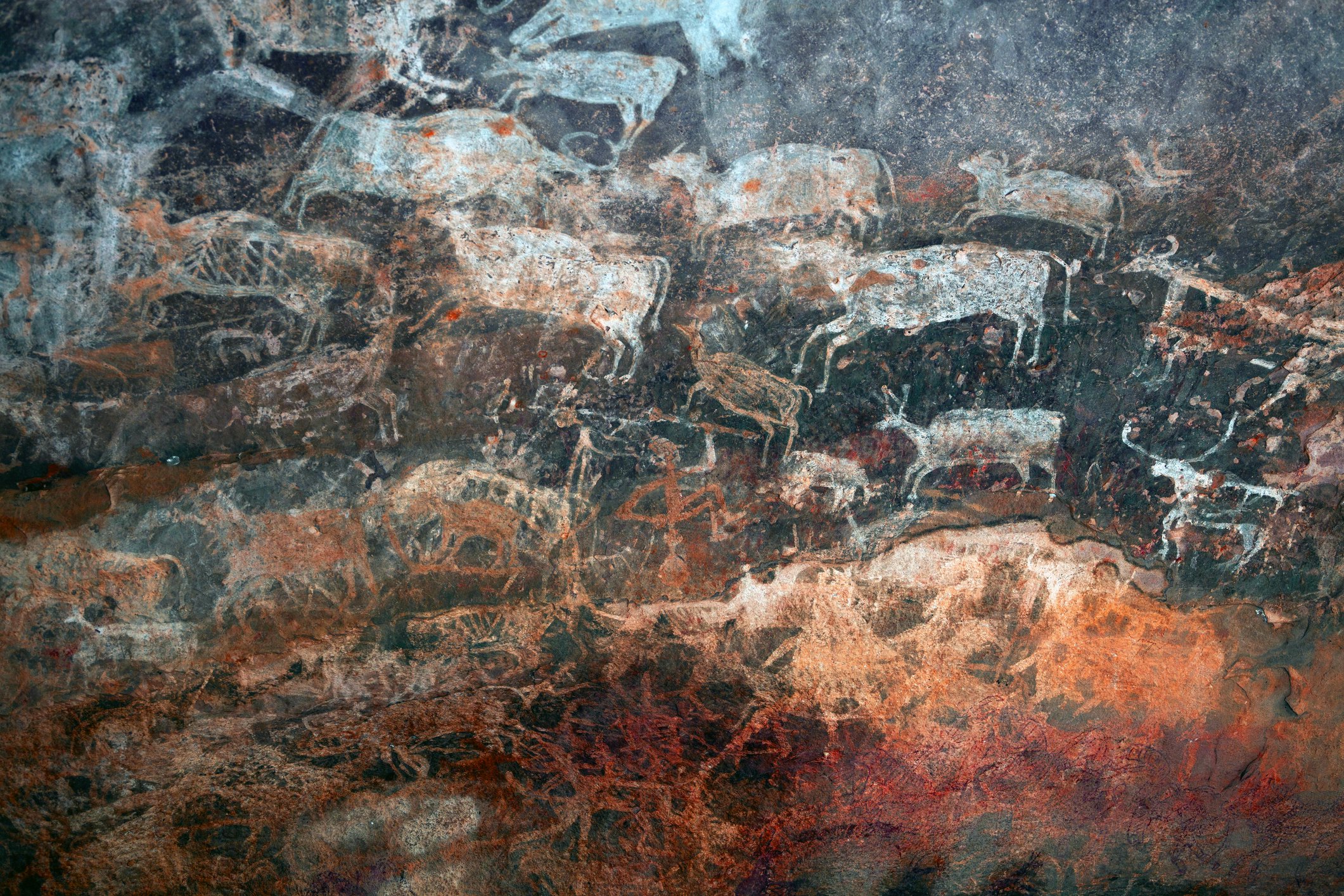 Paintings of animals in the ancient rock shelters at Bhimbetka in India.