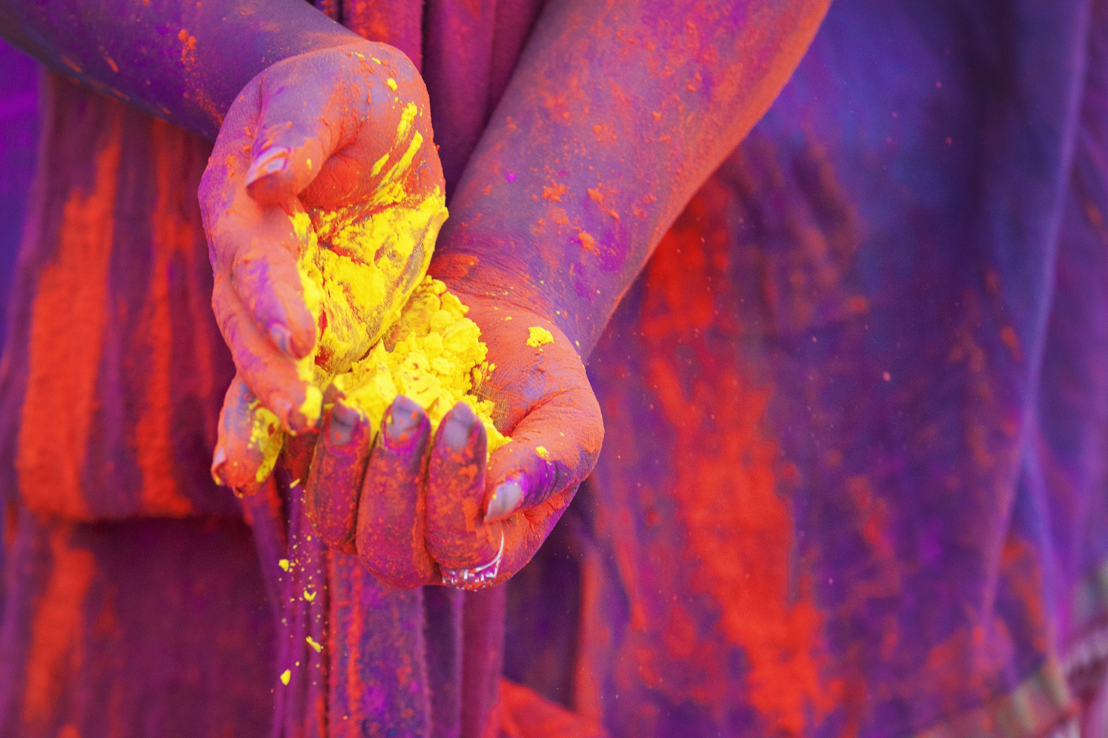 Hands full of the colored powder thrown during the festival of Holi in India.