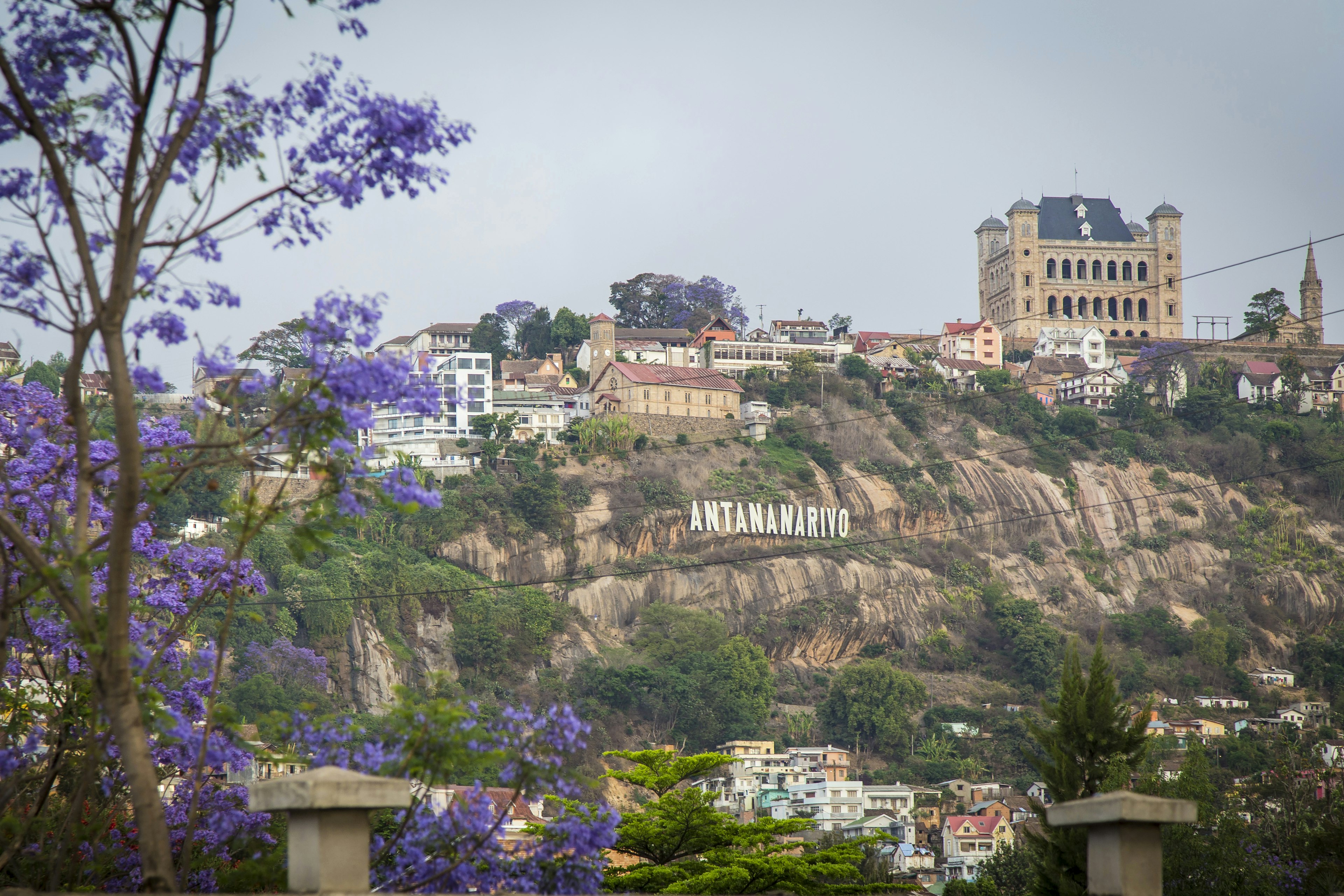 Jacaranda blossom framing a view of Antananarivo, capital of Madagascar.