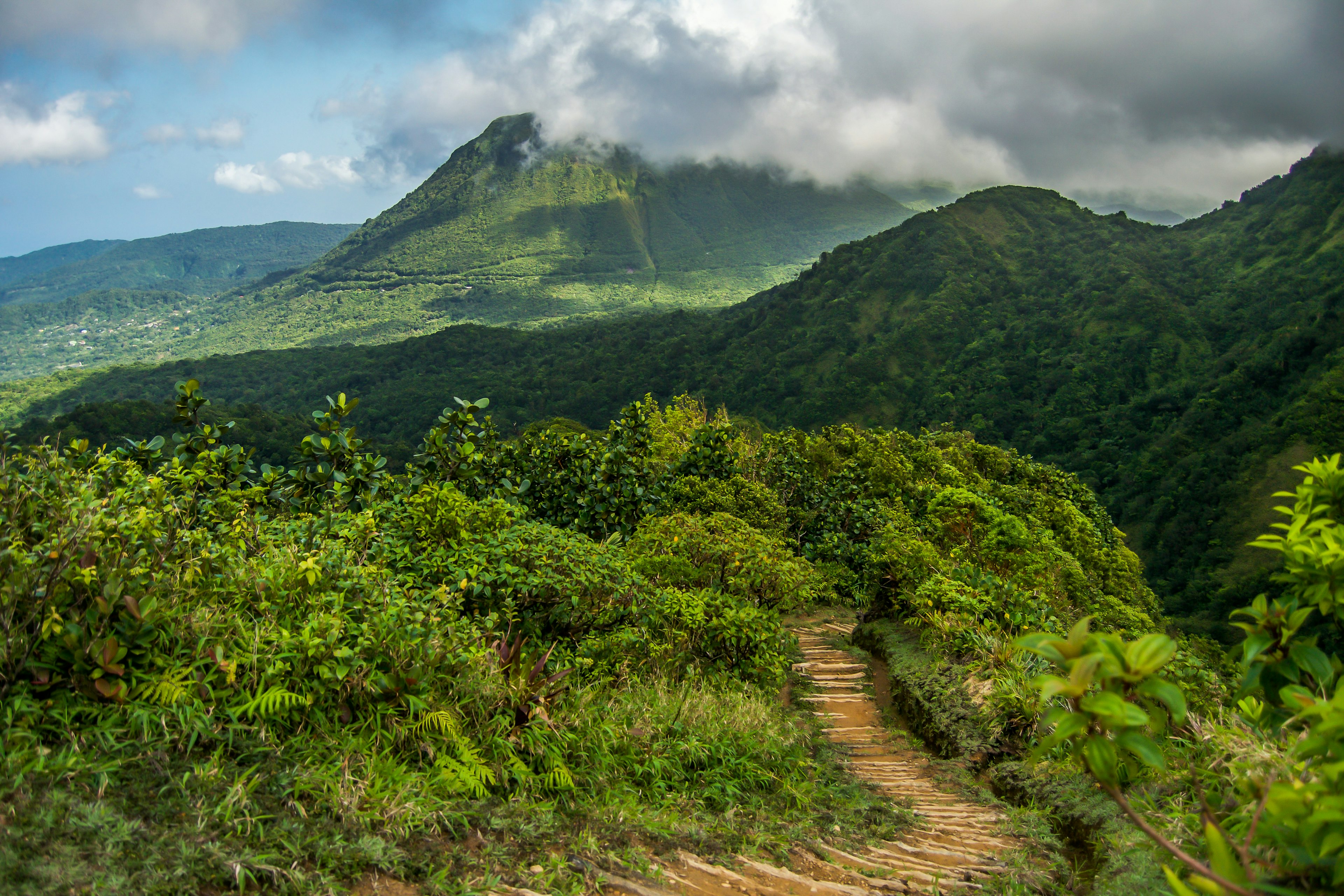 The Boiling Lake hiking path in Dominica cuts through hills of lush greenery, with the top of a far peak hidden in light cloud cover