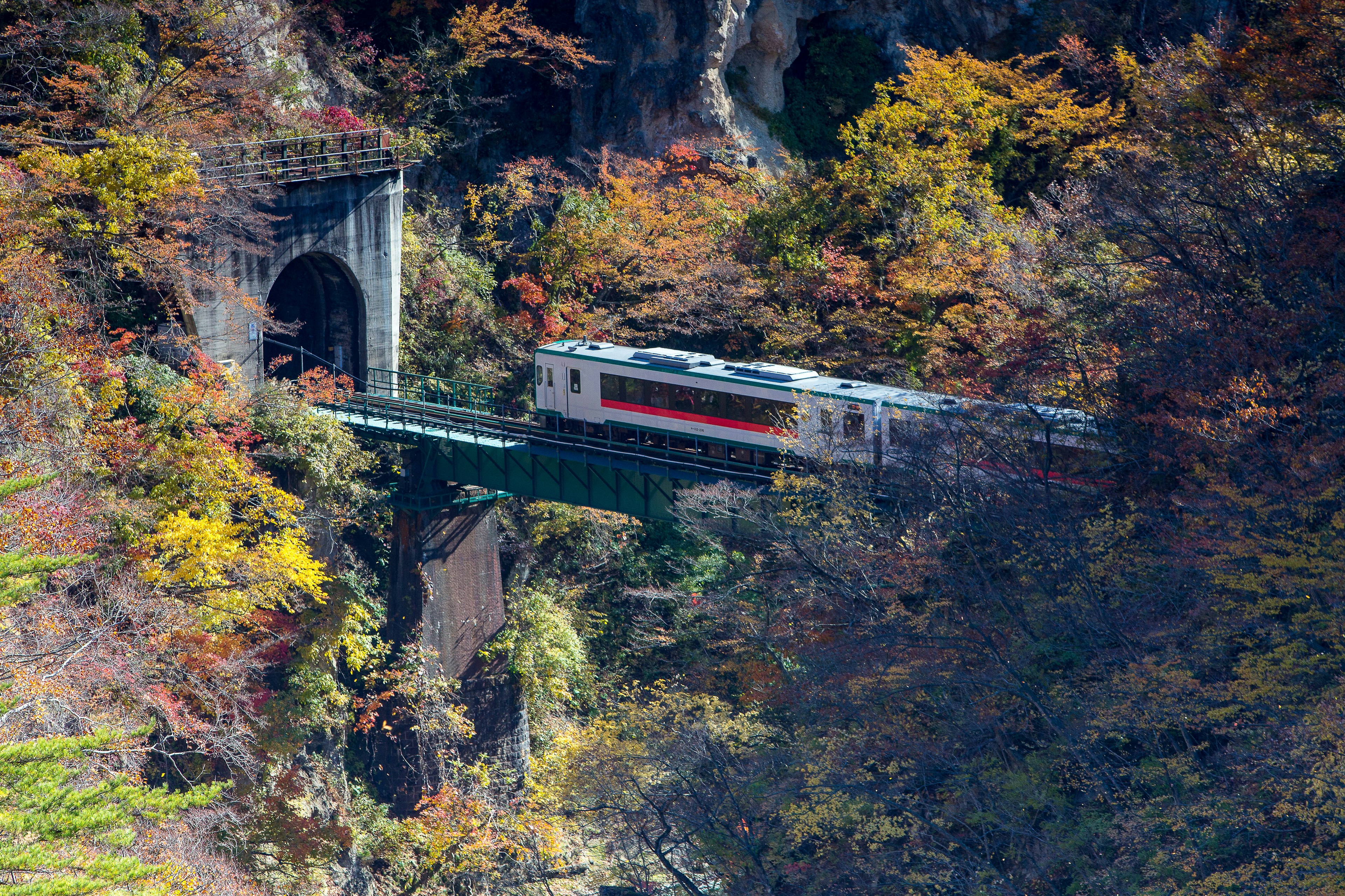 Train crossing a bridge and heading into a tunnel at Naruko Gorge in Japan.