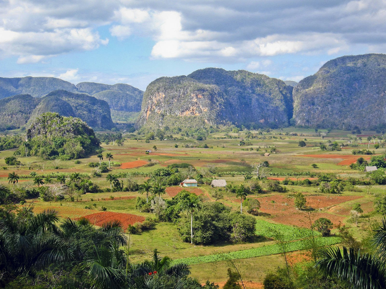 Limestone hills in the Valle de Viñales in Cuba rise over tobacco farms, with fields of green interspersed with plots of reddish soil