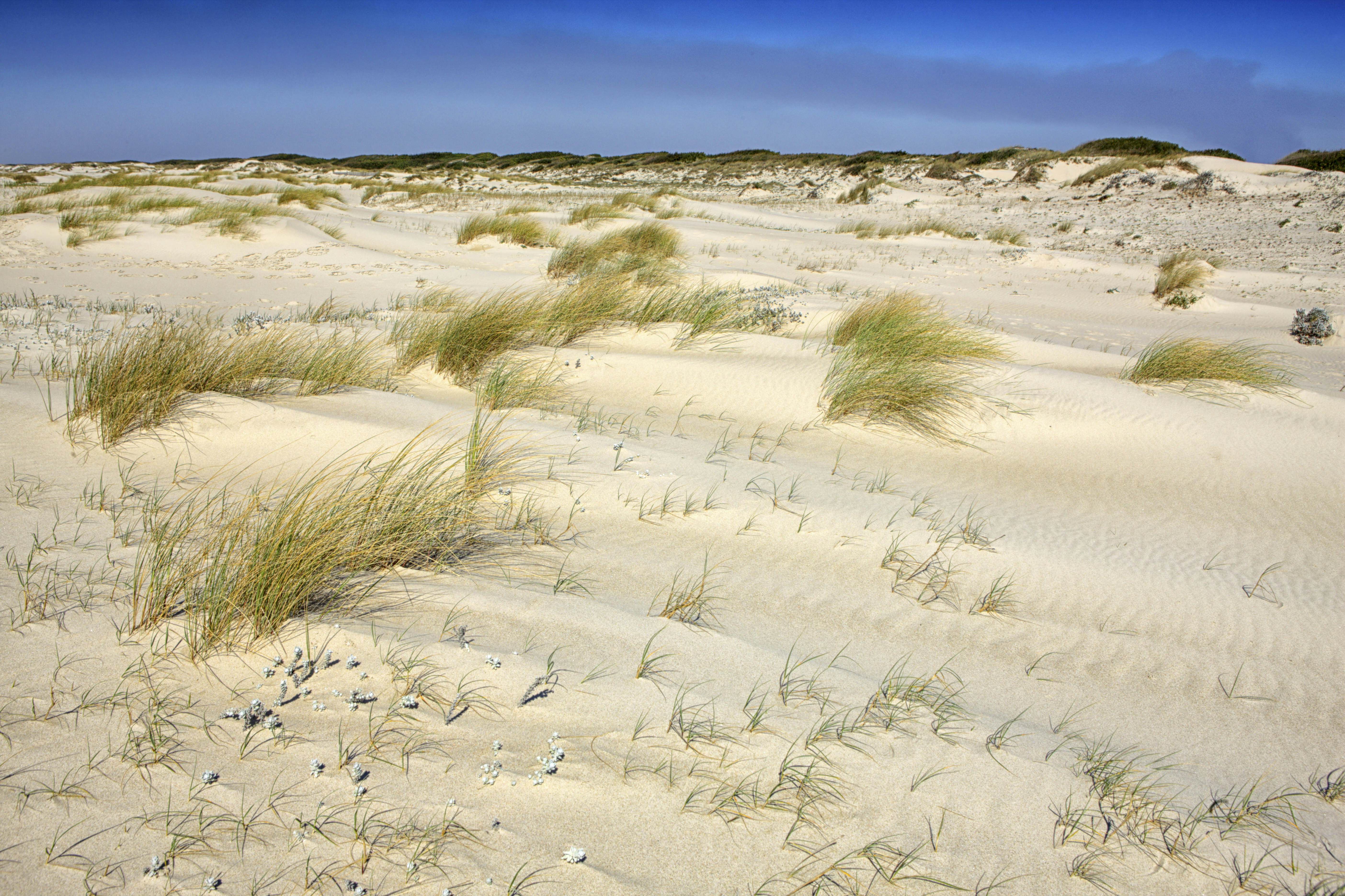 Sand dunes on a sunny day