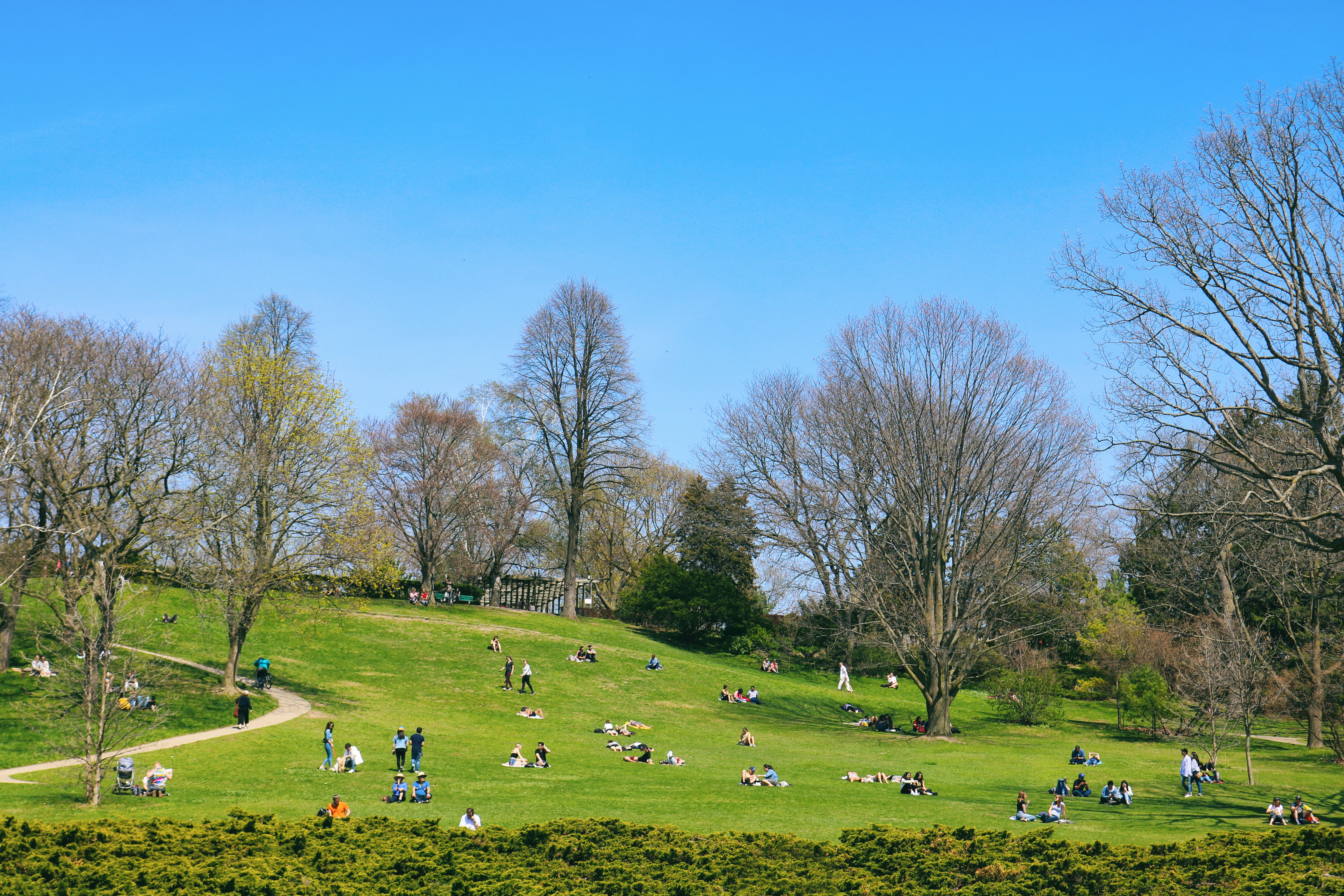 Spring is such a gorgeous time of year to visit the amazing High Park of Toronto. Many people do enjoy warm sun on the hill and celebrate spring in the park.
960690074
High Park, Toronto, High Park Toronto