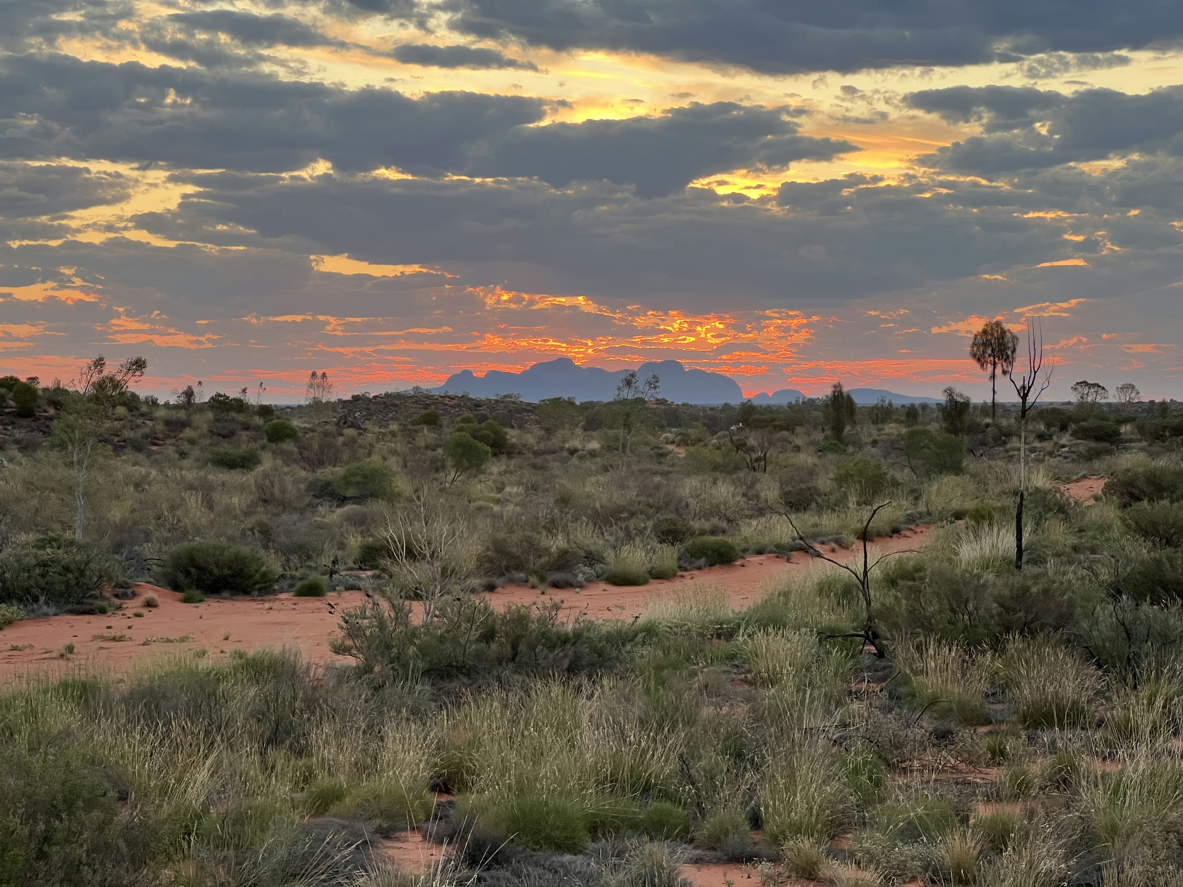 The desert sky lit up in oranges and grays at sunset: Kata Tjuta in Uluru-Kata Tjuta National Park.