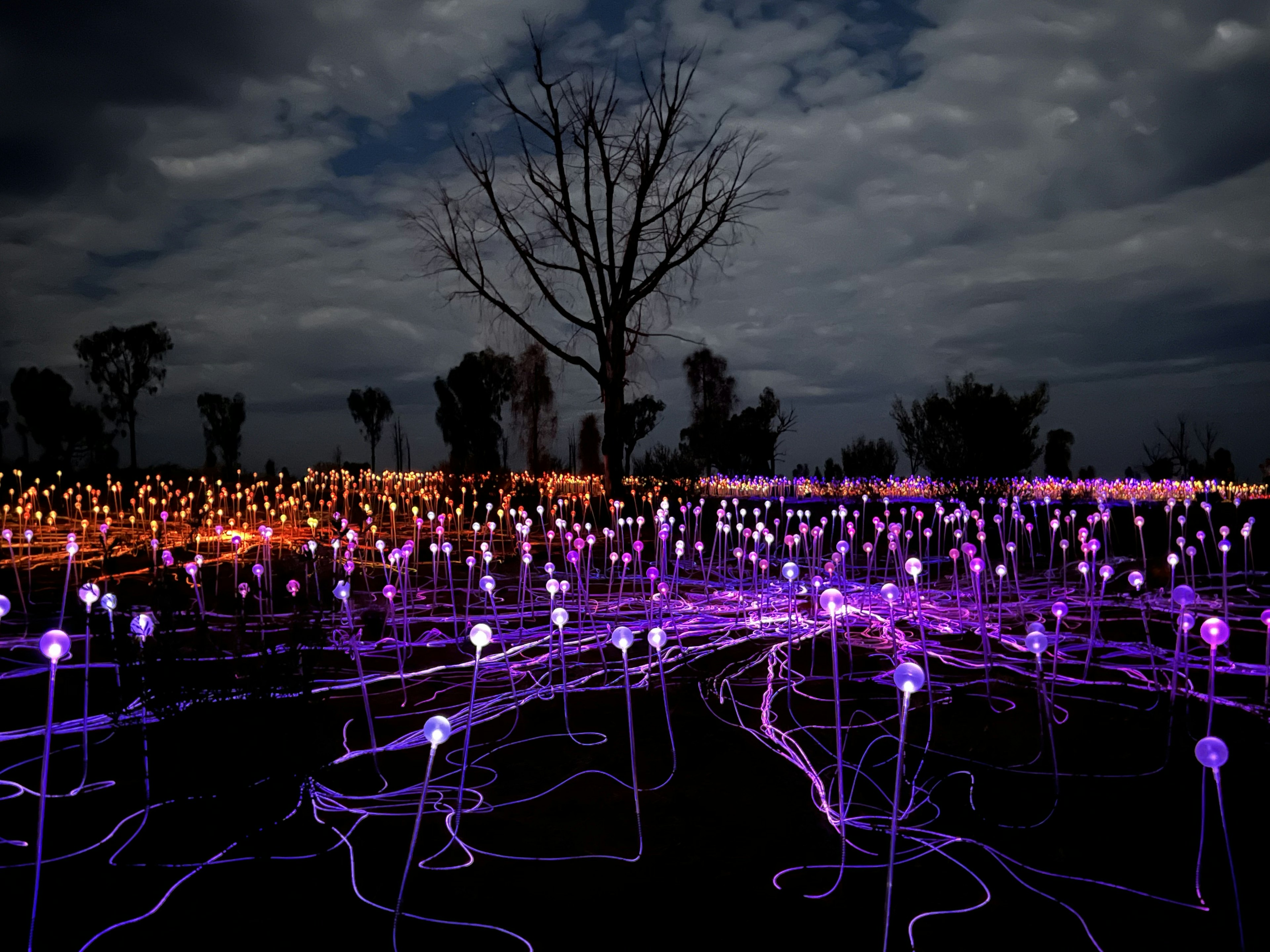 ULURU, NORTHERN TERRITORY, AUSTRALIA. OCTOBER 2024.
Bruce Munro's Field of Light just outside Uluru-Kata Tjuta National Park.