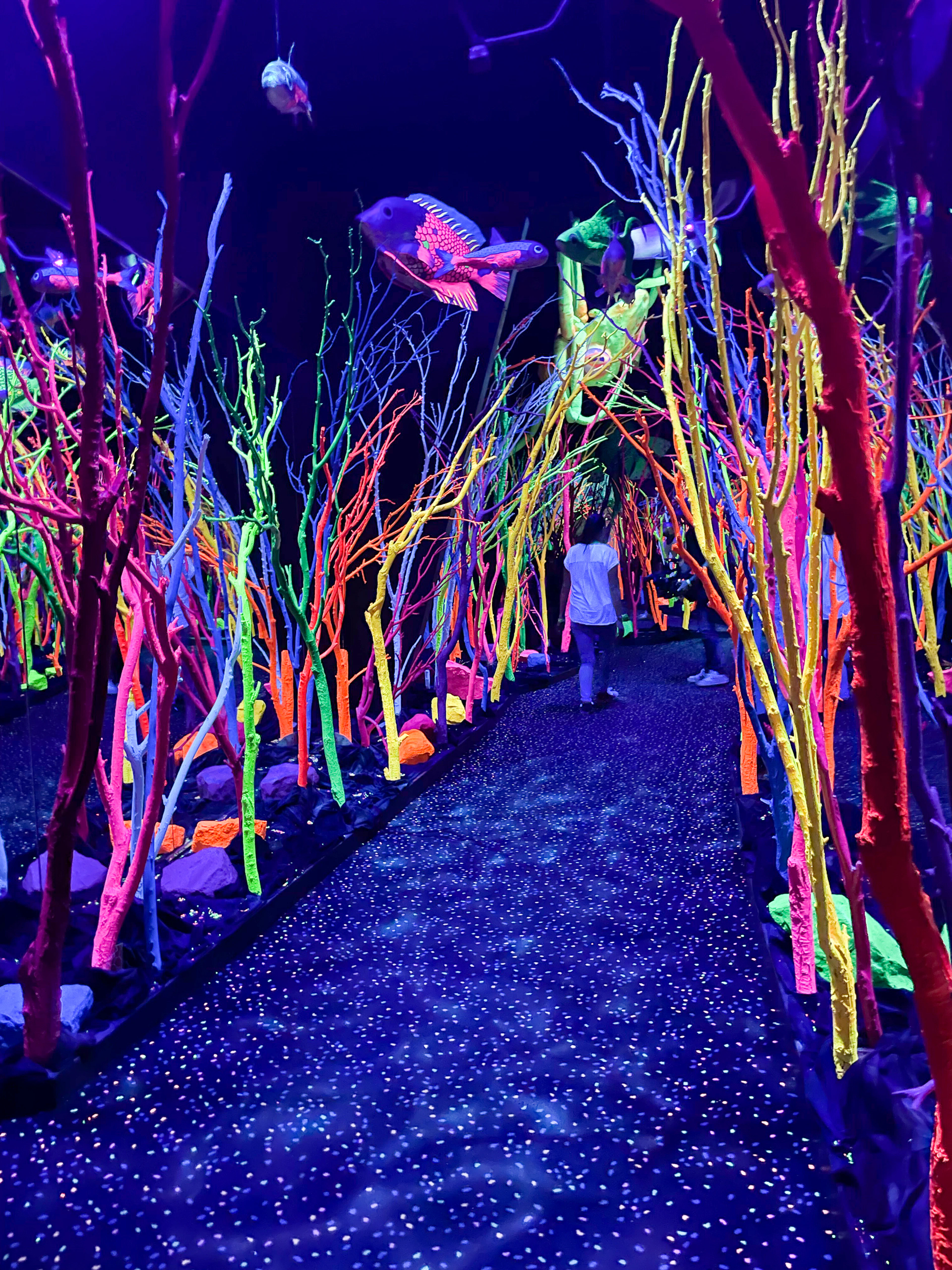A visitor walks on a speckled blue pathway lined with neon-colored branches at Meow Wolf in Santa Fe, New Mexico