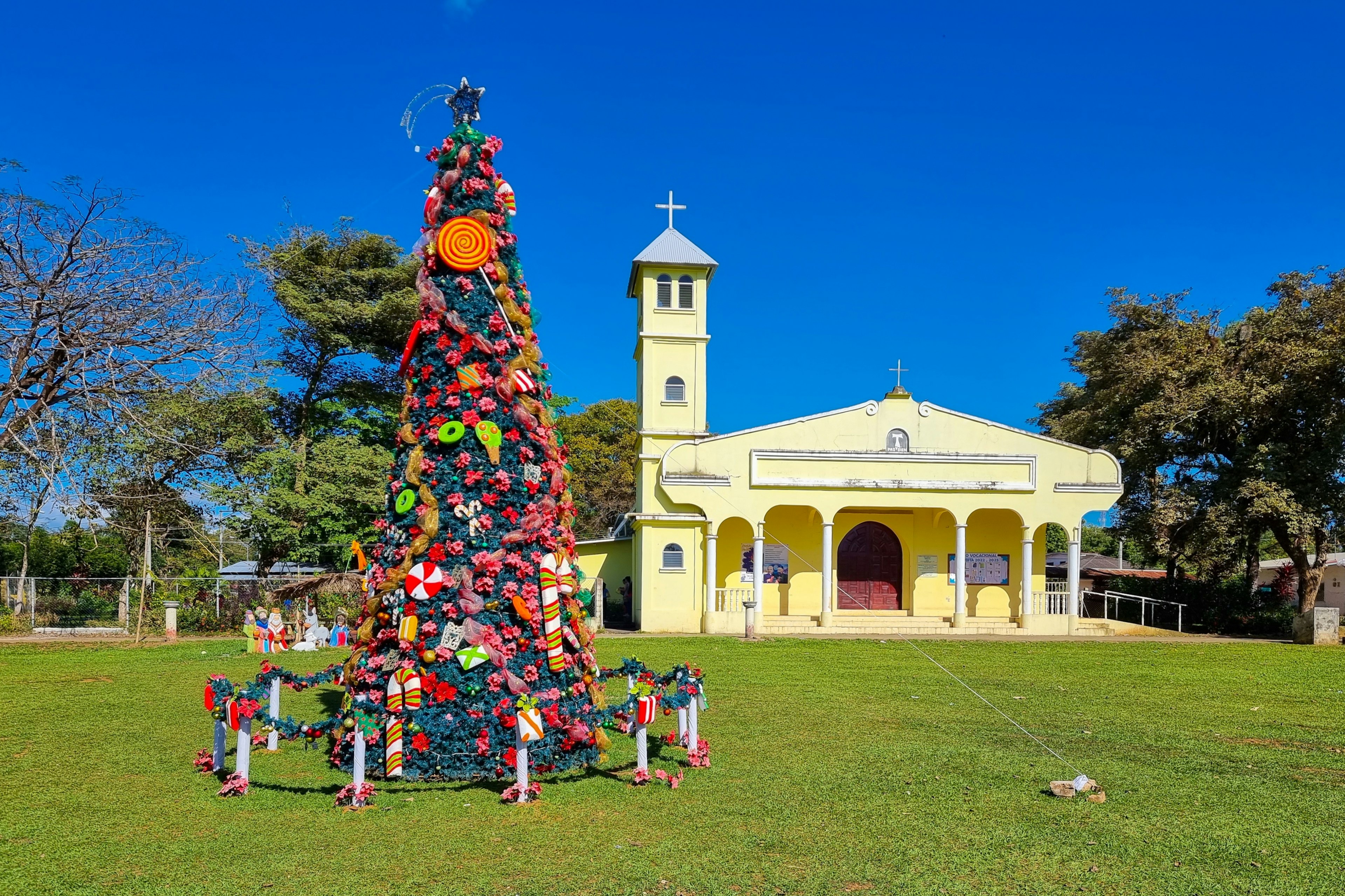 A Christmas tree in Dolega, Panama.