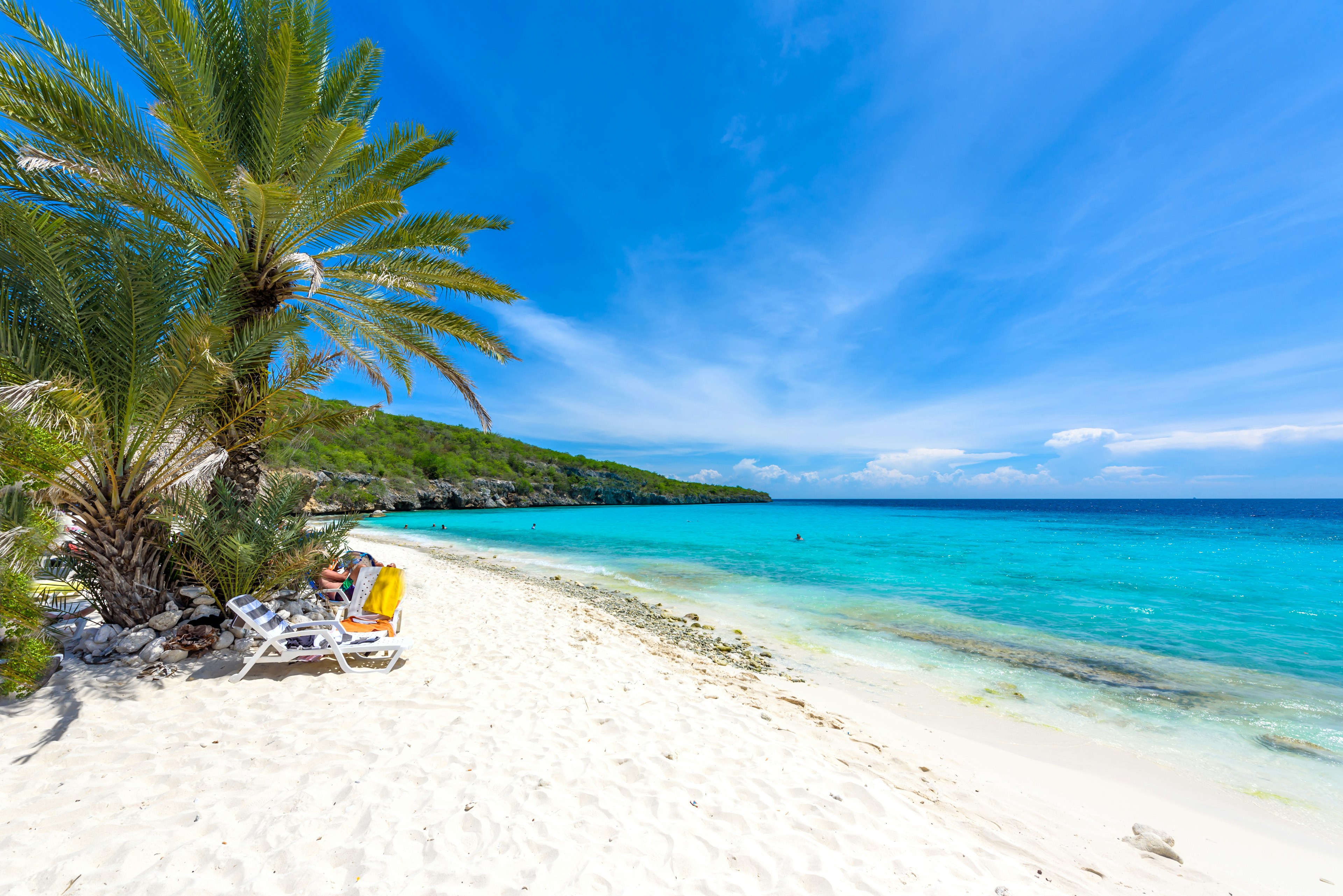 Sun chairs under palm trees sit on a narrow white-sand beach. Bright blue waters gently lap the shore.