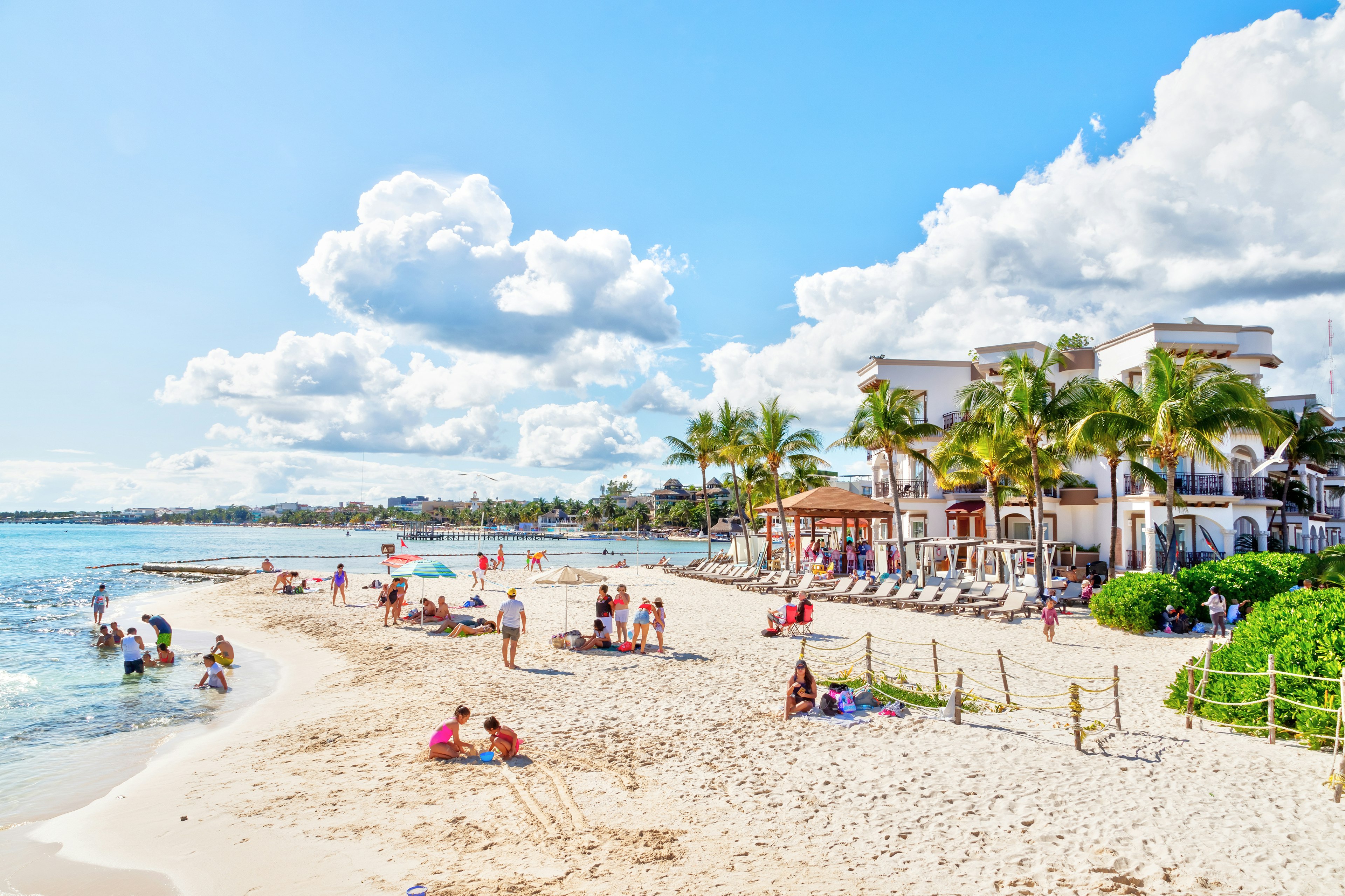 A crowded palm-lined beach with families playing in the sand