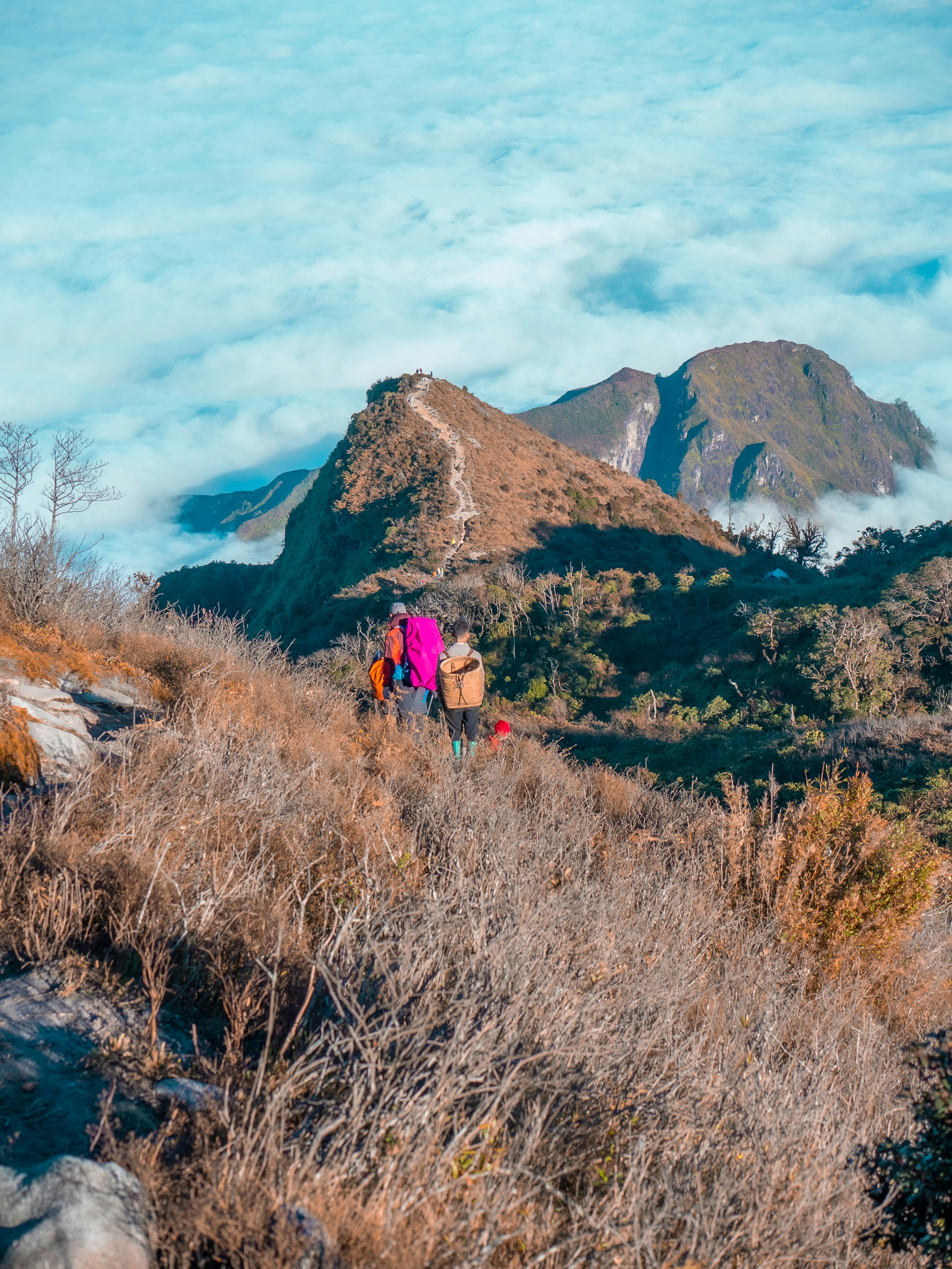 A Group of People Walk Through an area covered with bare industry, heading toward mountain peak around sapa, Vietnam