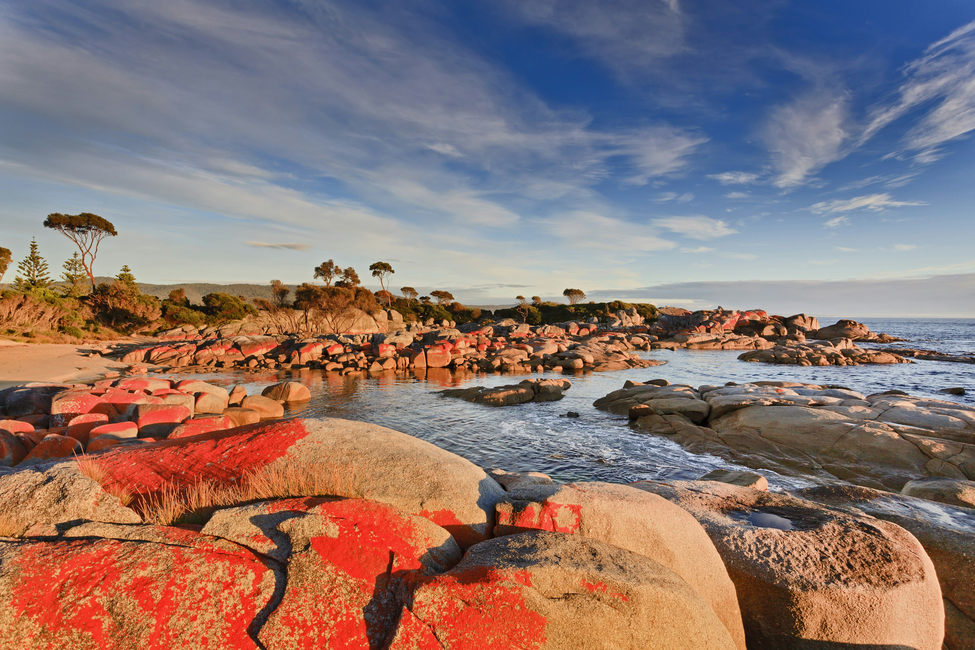 The red boulders of Tasmania's Bay of Fires glow in warm sunrise light.