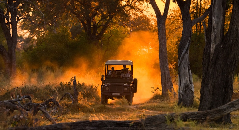 MOREMI, BOTSWANA - JUNE 04, 2014: Tourists looking at impala herd on evening game drive in the Moremi Game Reserve, national park in northern Botswana, Africa. License Type: media Download Time: 2023-07-10T15:37:33.000Z User: nic.dhoedt_lonelyplanet Is Editorial: Yes purchase_order: