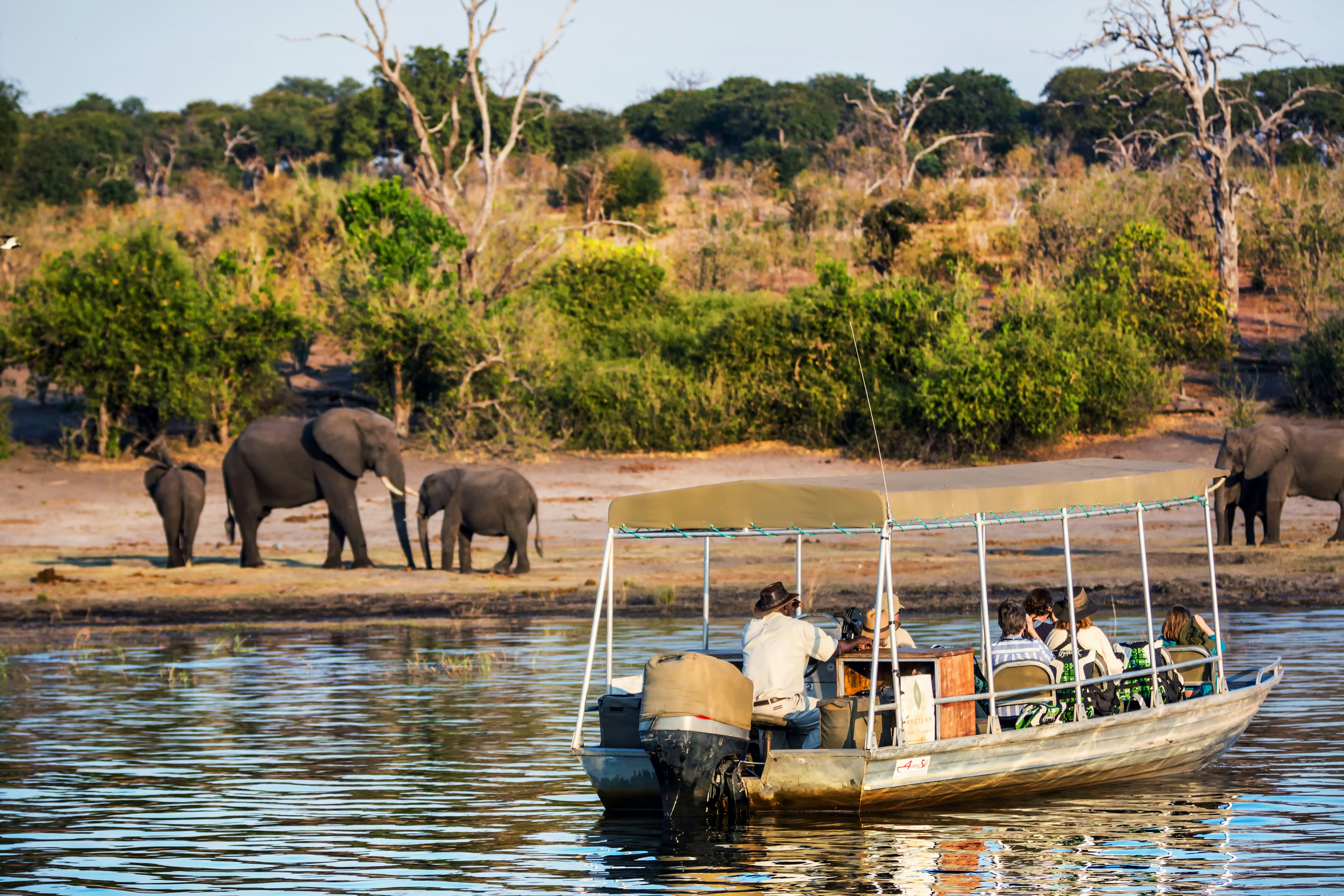 Tourists in a speedboat on a river observe elephants on the riverbank.