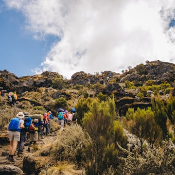 kilimanjaro route, camp, tanzania with clouds, people License Type: media Download Time: 2023-07-24T01:47:40.000Z User: Is Editorial: No purchase_order: