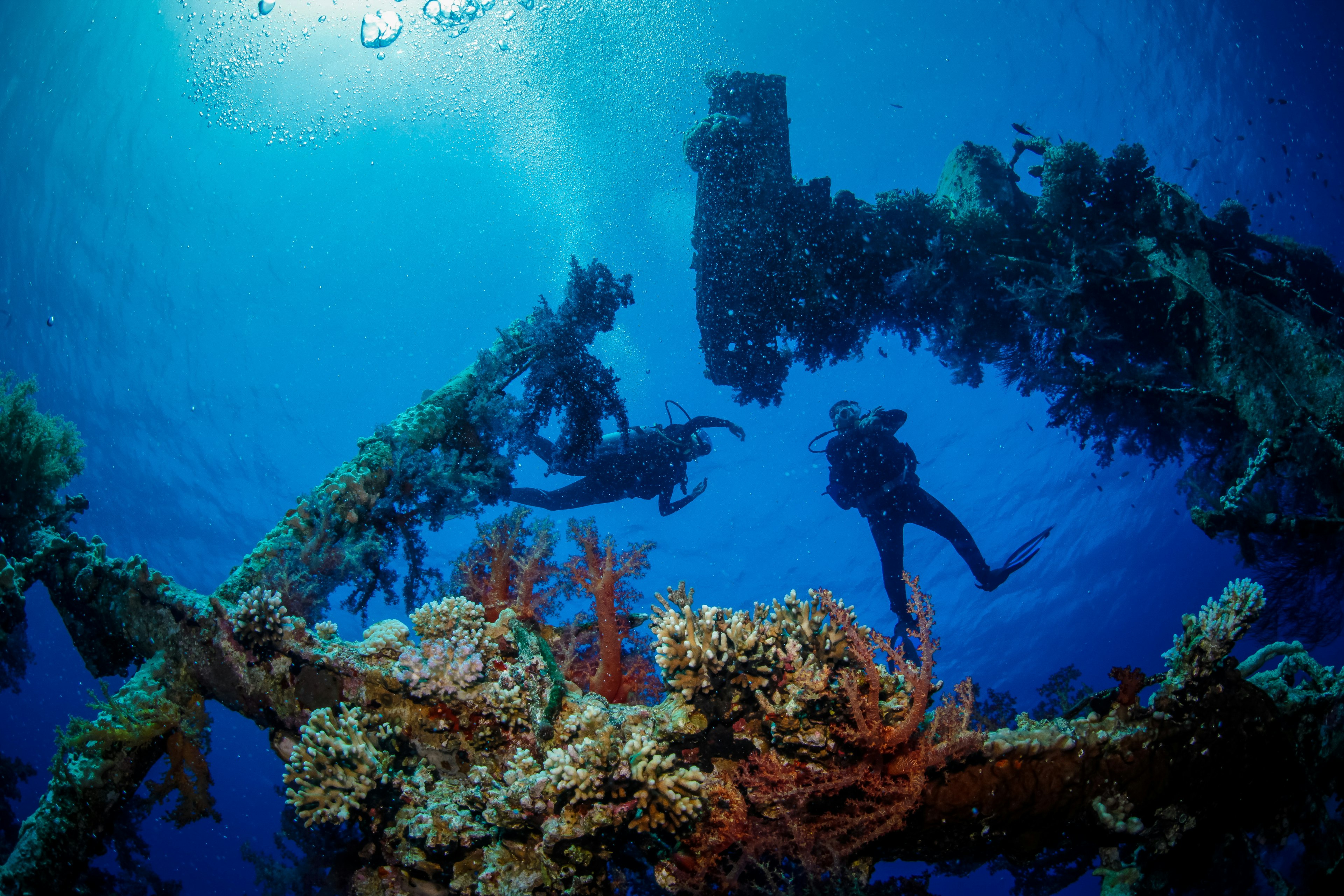 Two scuba divers float above a shipwreck that is hosting many different types of coral