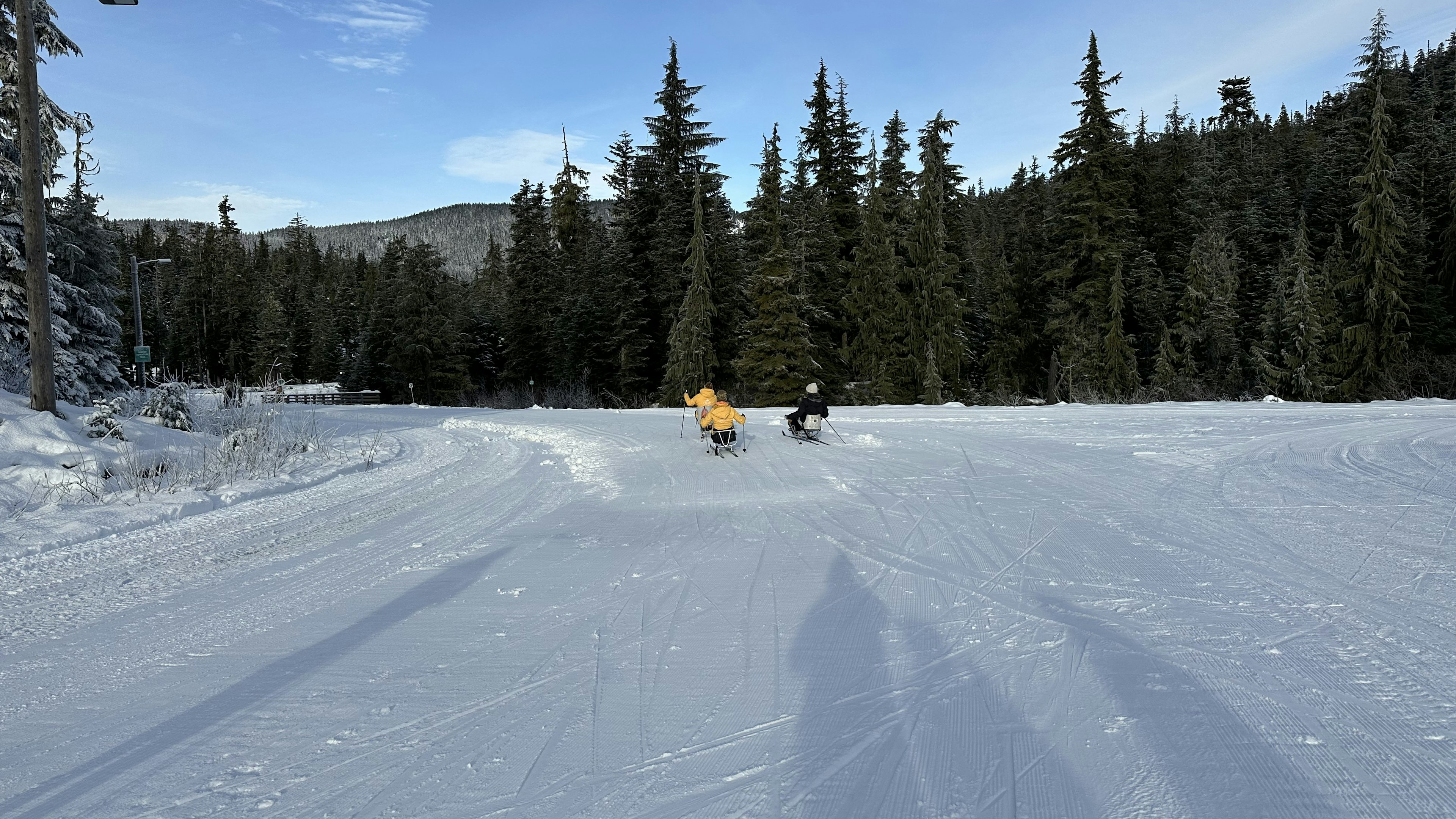 Sit skiiers skiing on the trails at Whistler Olympic Park.