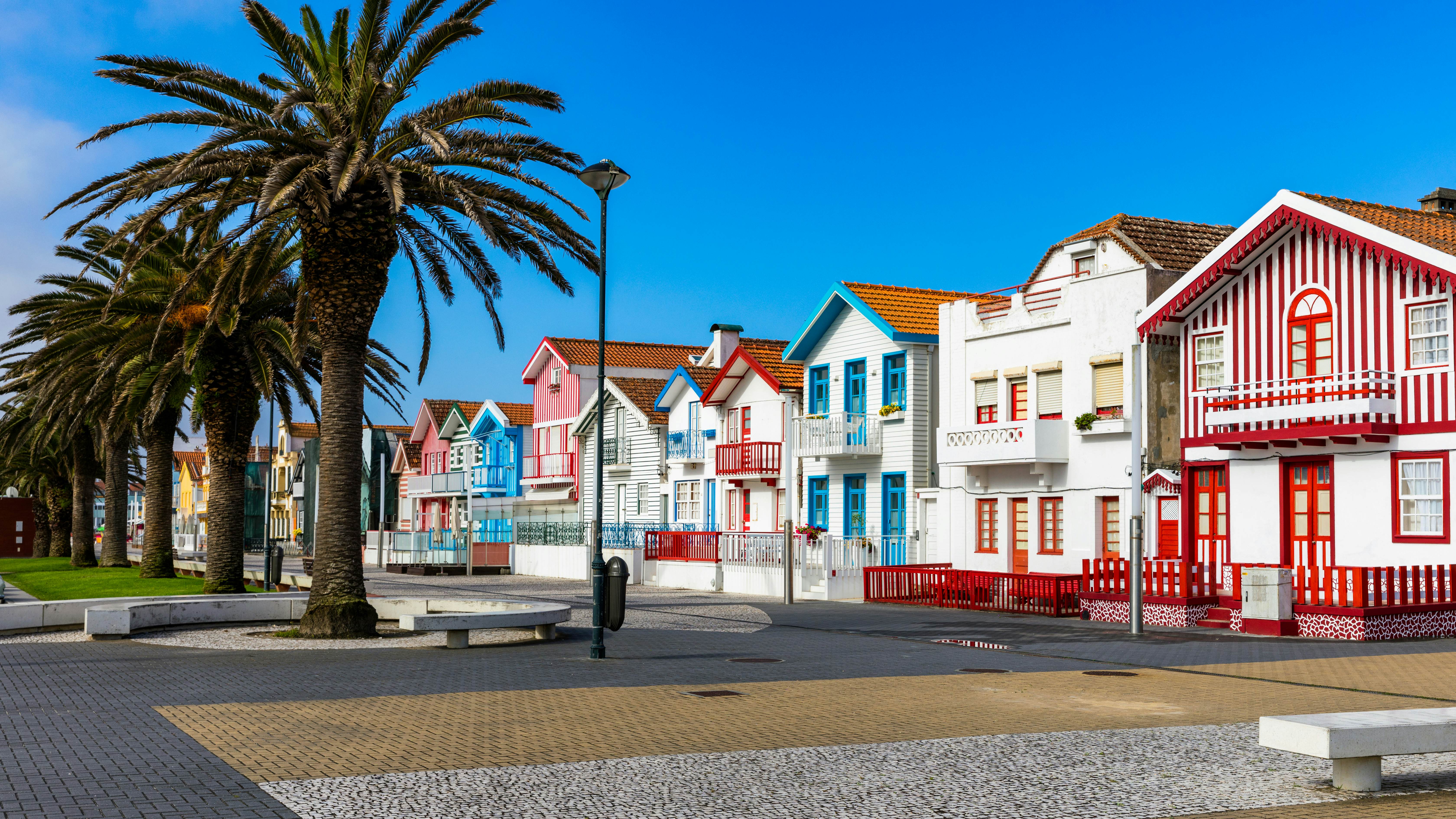 A palm tree-lined street with colorful striped houses