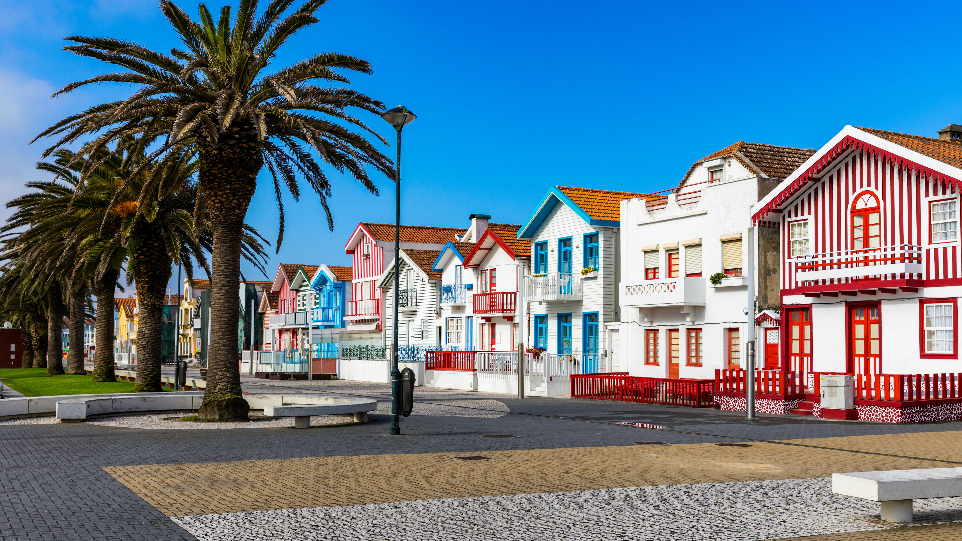 Улица с пальмовыми деревьями и красочными полосатыми домами