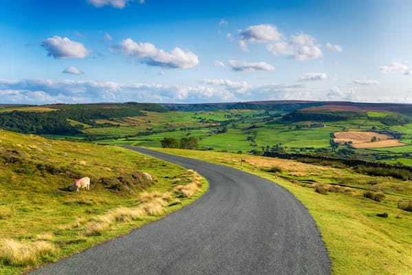 電車、バス、さらには自転車でイギリスで移動する方法