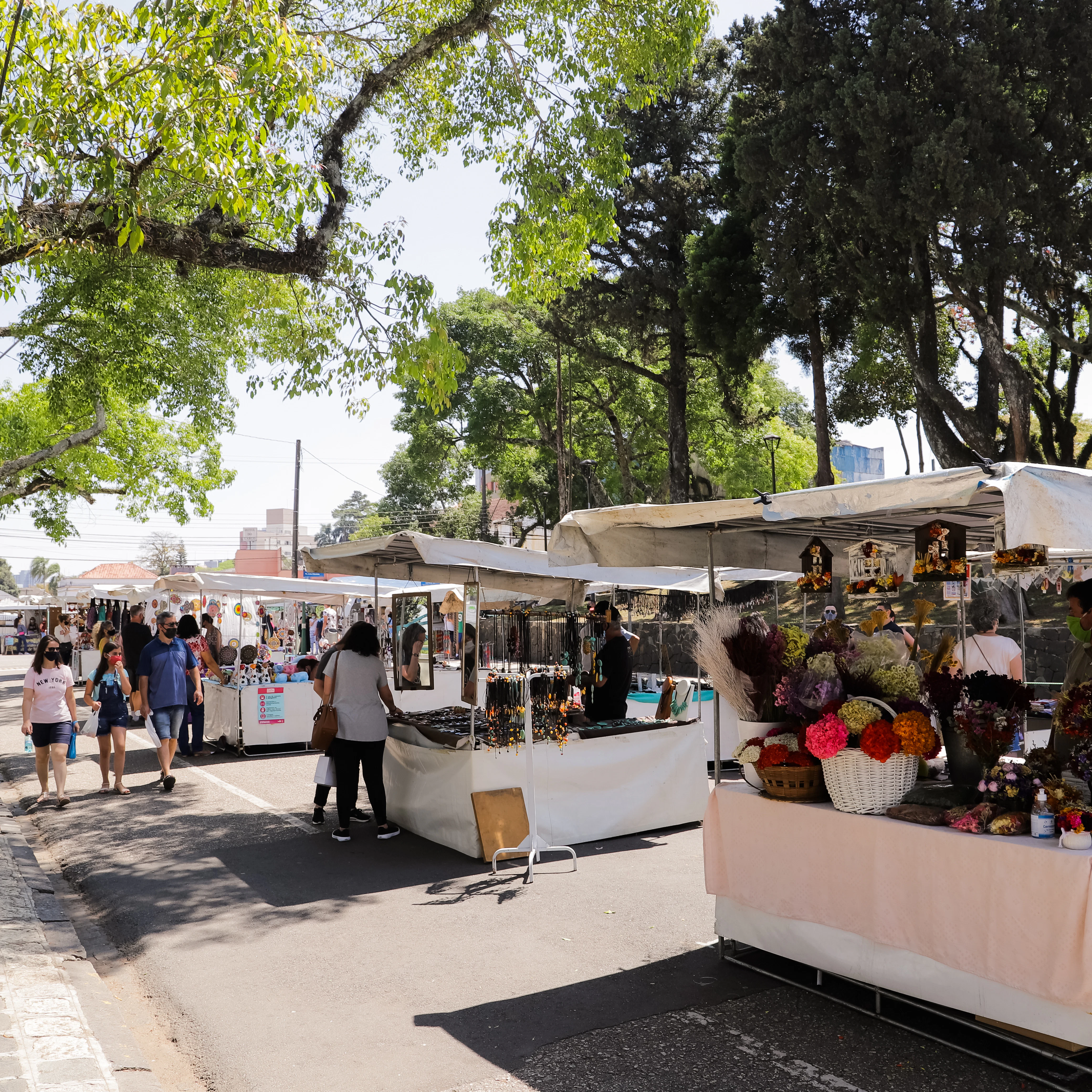 Curitiba, Paraná, Brazil - September 26, 2020 - Handicraft and antiques stalls at Feirinha do Largo da Ordem, a famous tourist and cultural spot in the old center of Curitiba, License Type: media, Download Time: 2025-01-30T21:14:17.000Z, User: Ppeterson948, Editorial: true, purchase_order: 65050 - Digital Destinations and Articles, job: Global Publishing WIP, client: Global Publishing WIP, other: Pia Peterson Haggarty