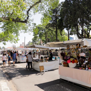 Curitiba, Paraná, Brazil - September 26, 2020 - Handicraft and antiques stalls at Feirinha do Largo da Ordem, a famous tourist and cultural spot in the old center of Curitiba, License Type: media, Download Time: 2025-01-30T21:14:17.000Z, User: Ppeterson948, Editorial: true, purchase_order: 65050 - Digital Destinations and Articles, job: Global Publishing WIP, client: Global Publishing WIP, other: Pia Peterson Haggarty