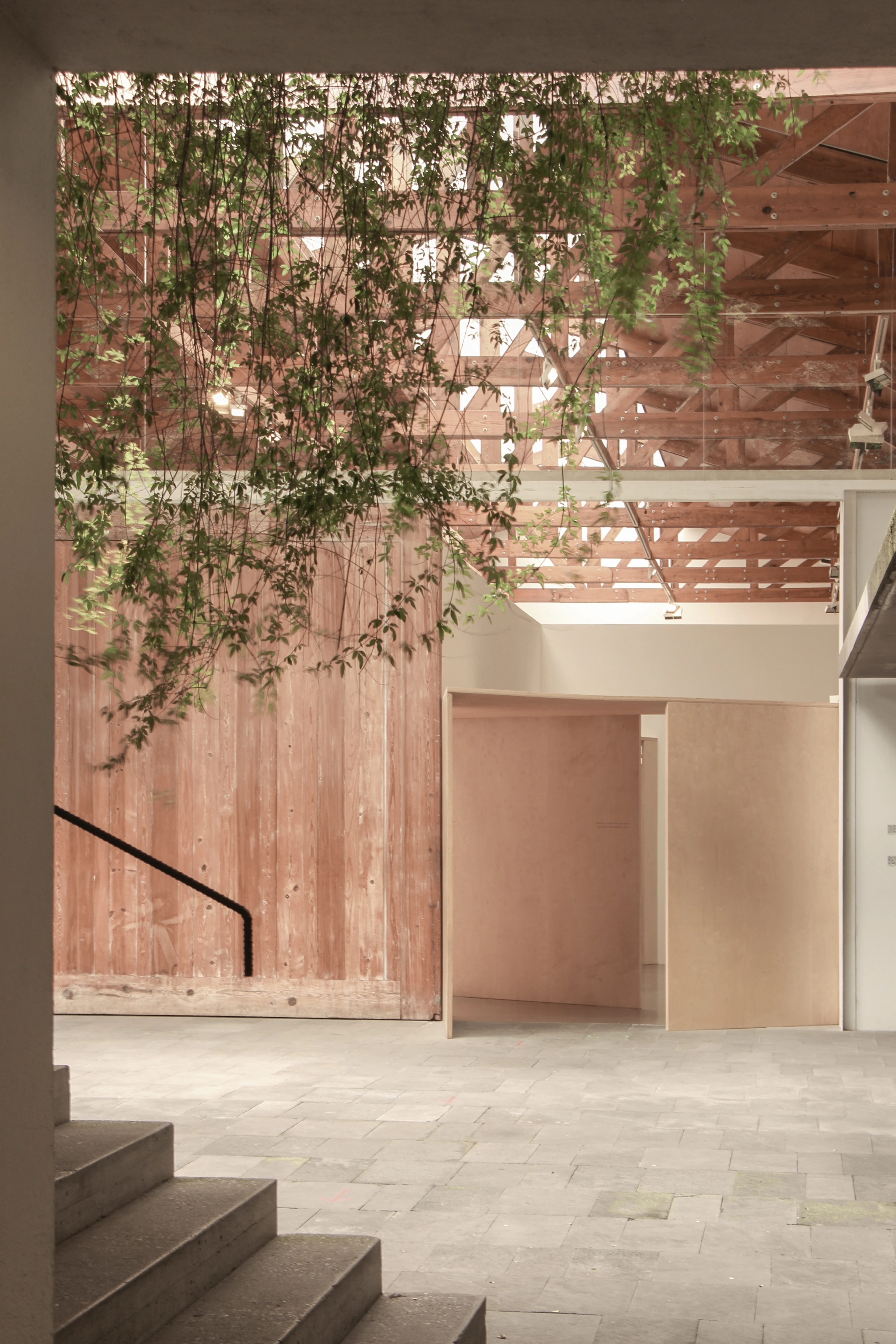 Стильный вход в художественную галерею с современными деревянными панелями и растениями, растущими через решетчатую крышу