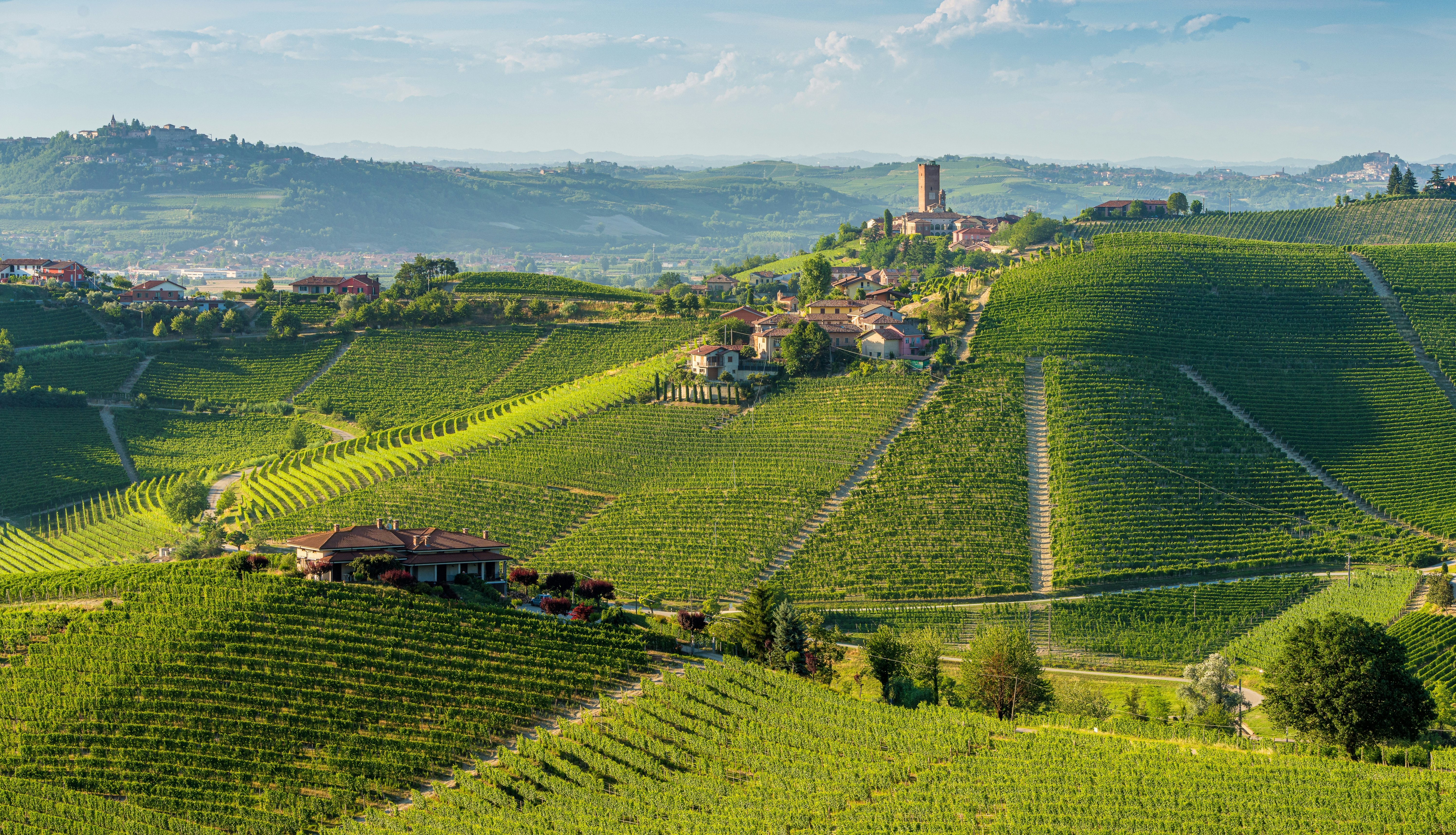 Beautiful hills and vineyards surrounding Barbaresco village in the Langhe region. Cuneo, Piedmont, Italy.